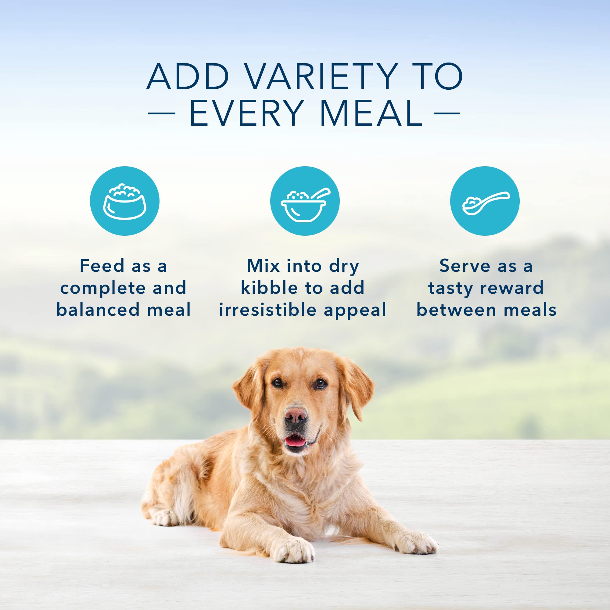 Blue Buffalo Blues Stew Natural Wet Dog Food, Made with Natural Ingredients, Hearty Beef and Country Chicken Variety Pack, 12.5