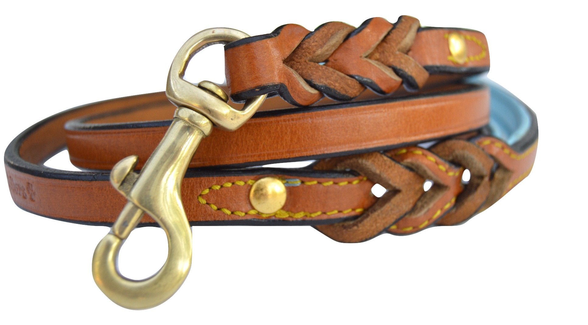 Soft Touch Collars Leather Braided Dog Leash, Tan With Teal Padded Handle, 4Ft Long X 1/2 Inch Wide, For Small Dogs