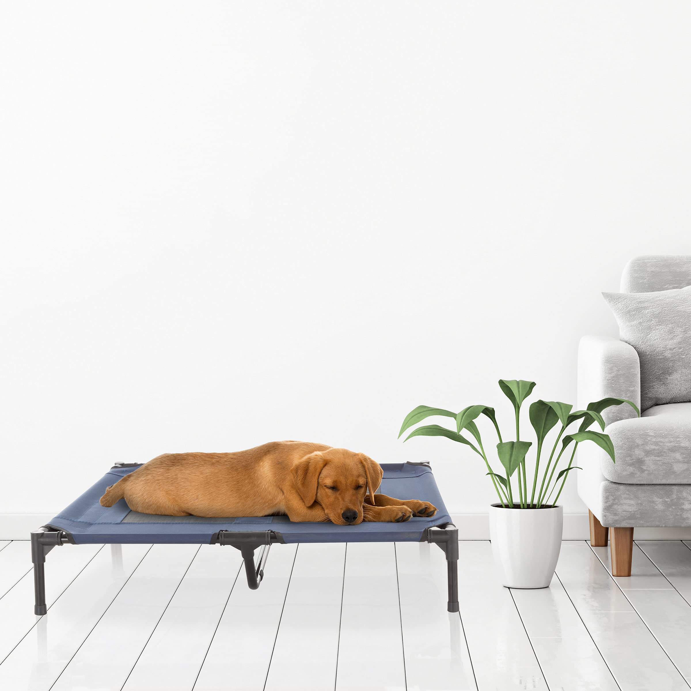 Elevated Dog Bed - 36X29.75-Inch Portable Pet Bed With Non-Slip Feet - Indoor/Outdoor Dog Cot Or Puppy Bed For Pets Up To 80Lbs