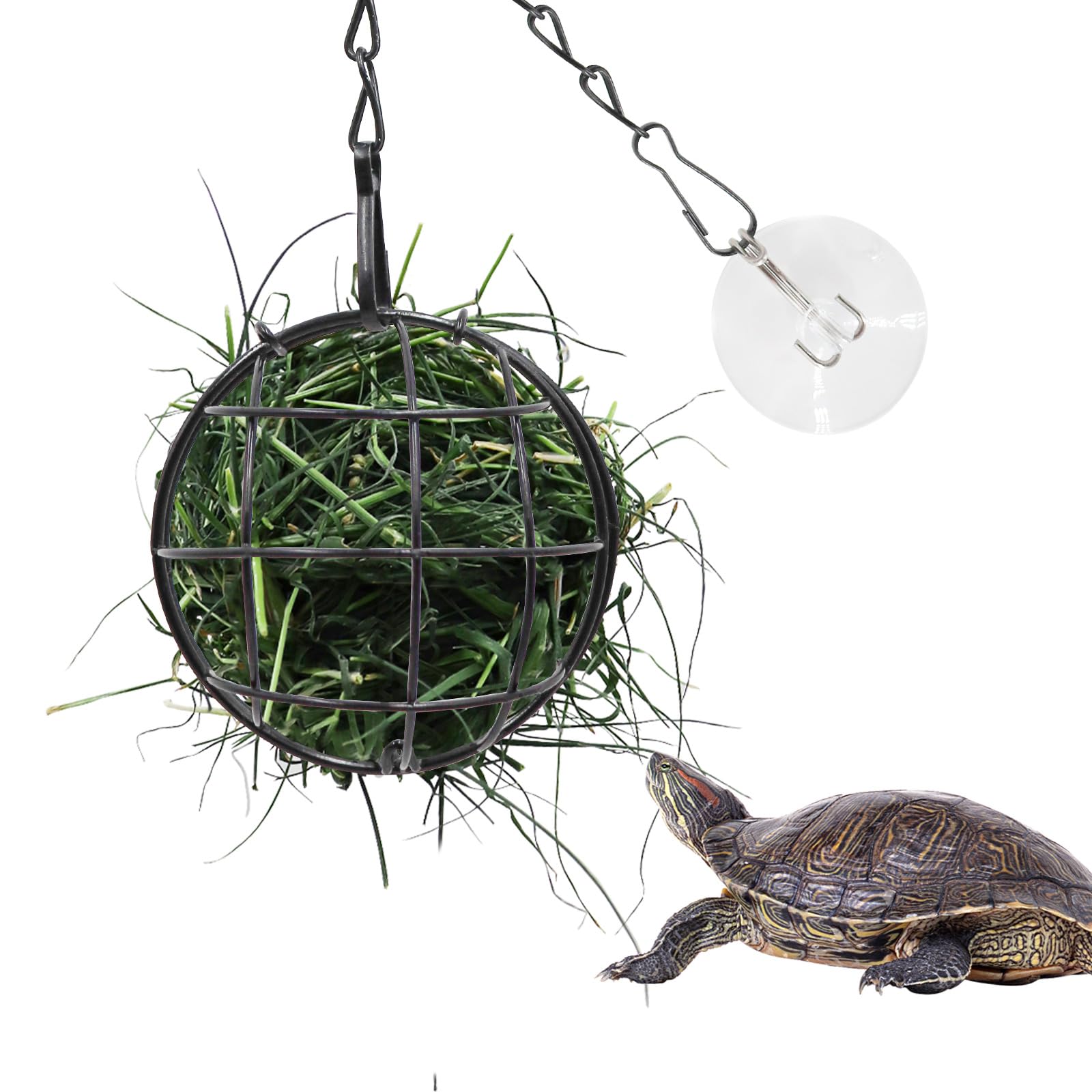 3.1 Inches Tortoise Treat Ball Toy, Hanging Turtle Stainless Steel Hay Feeder Ball, Small Animal Grass Fruit Vegetable Feeder Ho