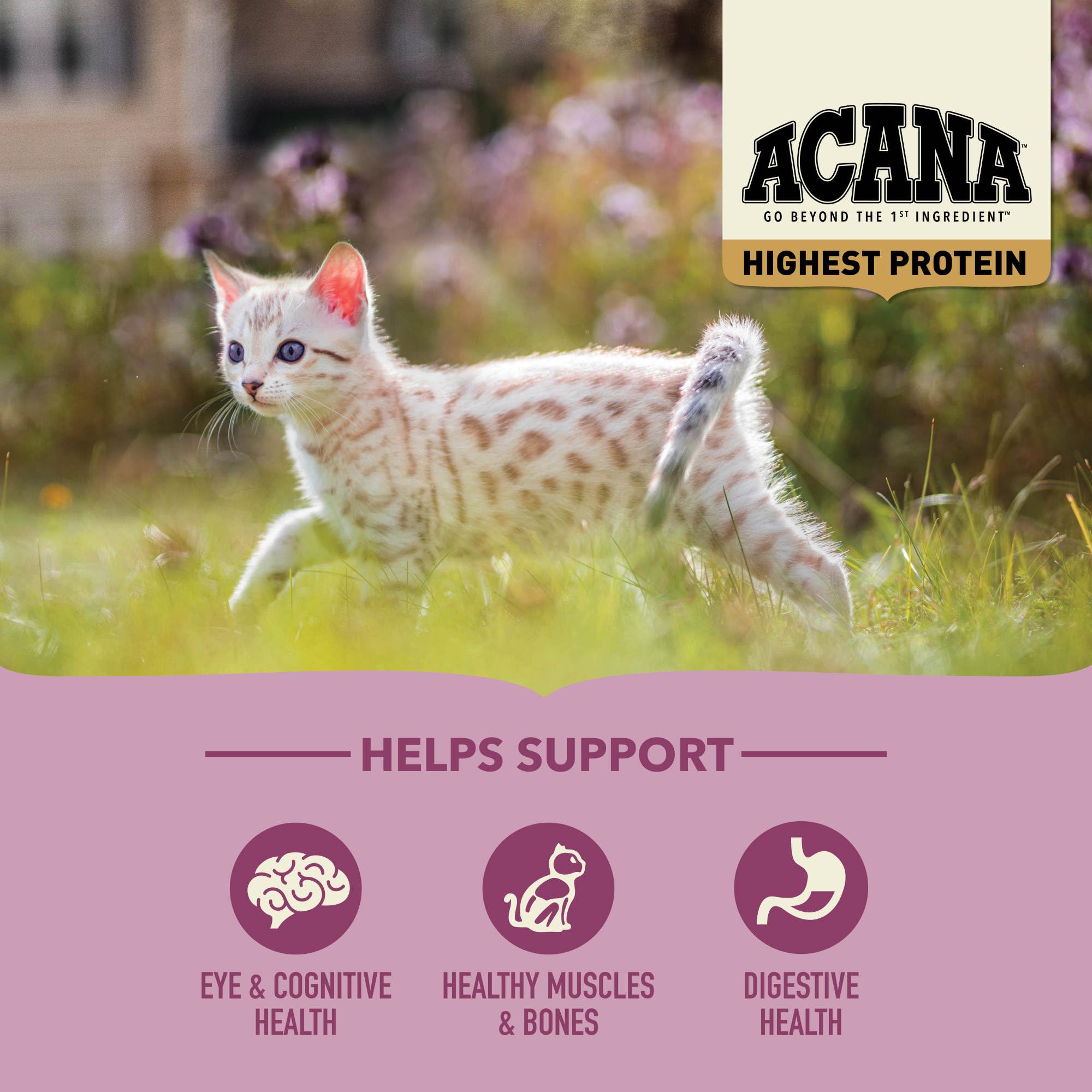 ACANA Highest Protein Dry Cat Food Kitten Recipe 4lb Bag