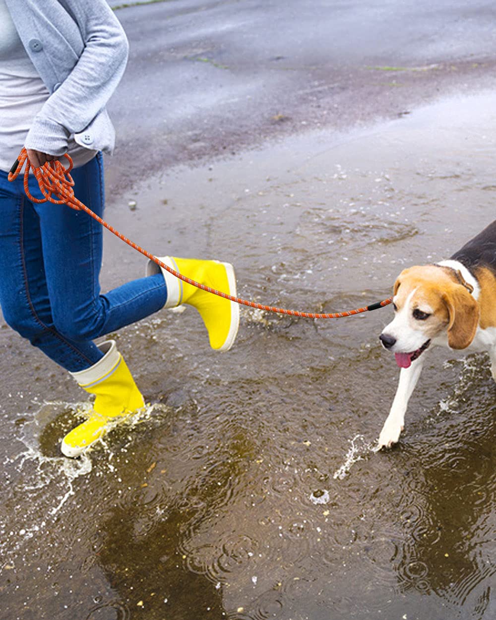 Long Leash For Dog Training 10Ft 16Ft 30Ft 50Ft 100Ft, Reflective Threads Check Cord Recall Dog Lead For Large Medium Small Dogs, Dog Tie-Out Cable For Playing, Camping, Or Backyard