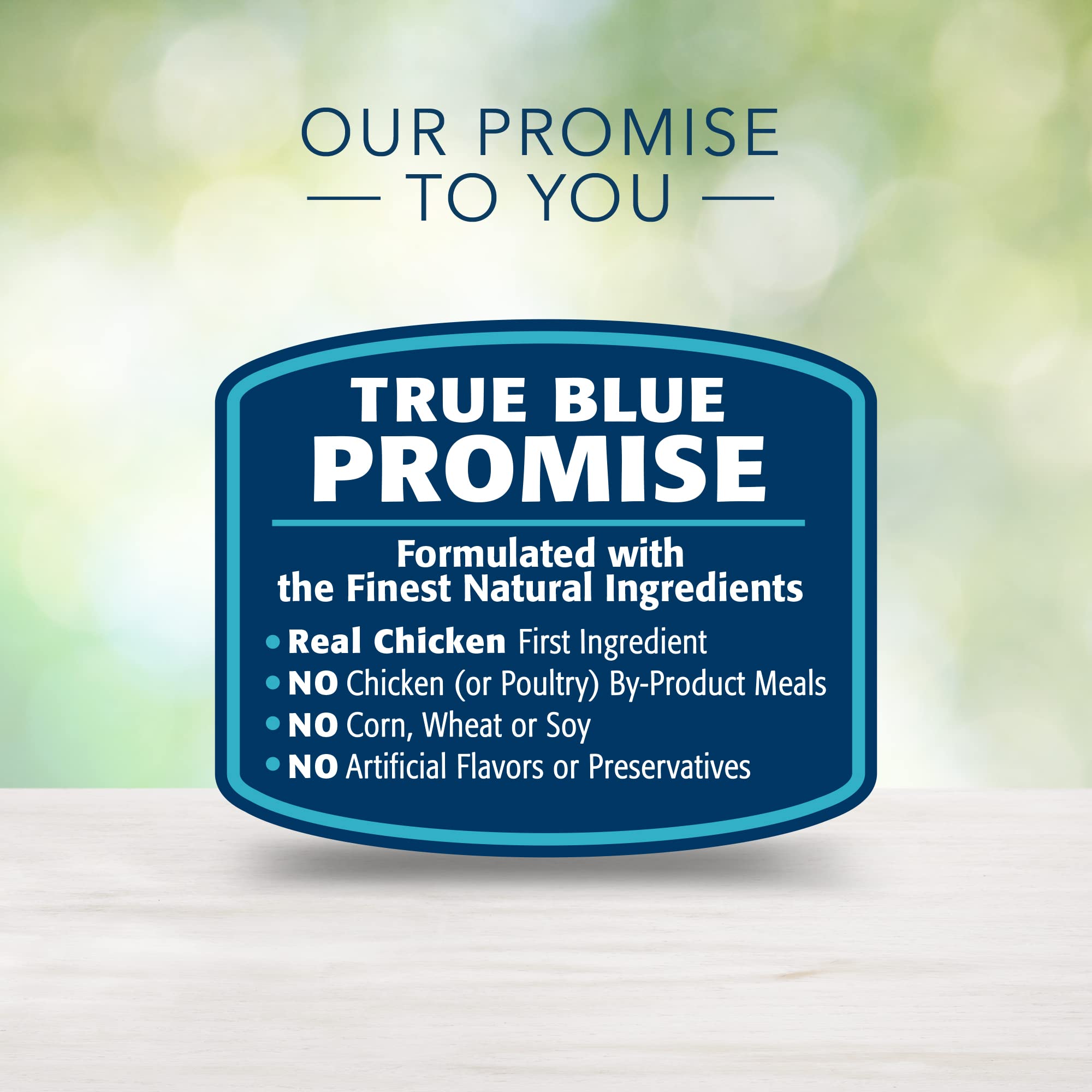 Blue Buffalo Freedom Grain-Free Wet Cat Food, Complete & Balanced Nutrition for Mature Indoor Cats, Made with Natural Ingredient