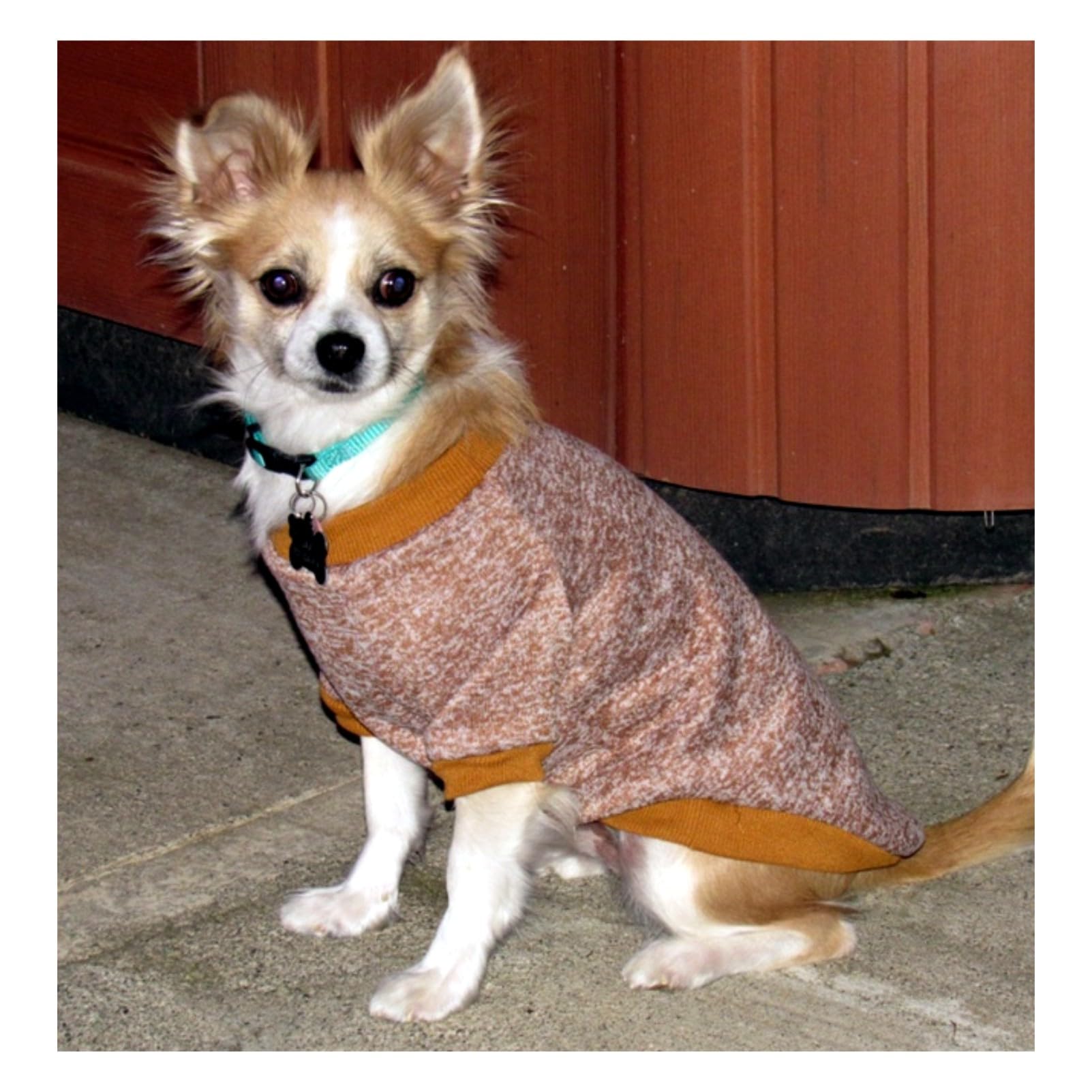 Chborless Pet Dog Classic Knitwear Sweater Warm Winter Puppy Pet Coat Soft Sweater Clothing For Small Dogs (Xxs, Khaki)