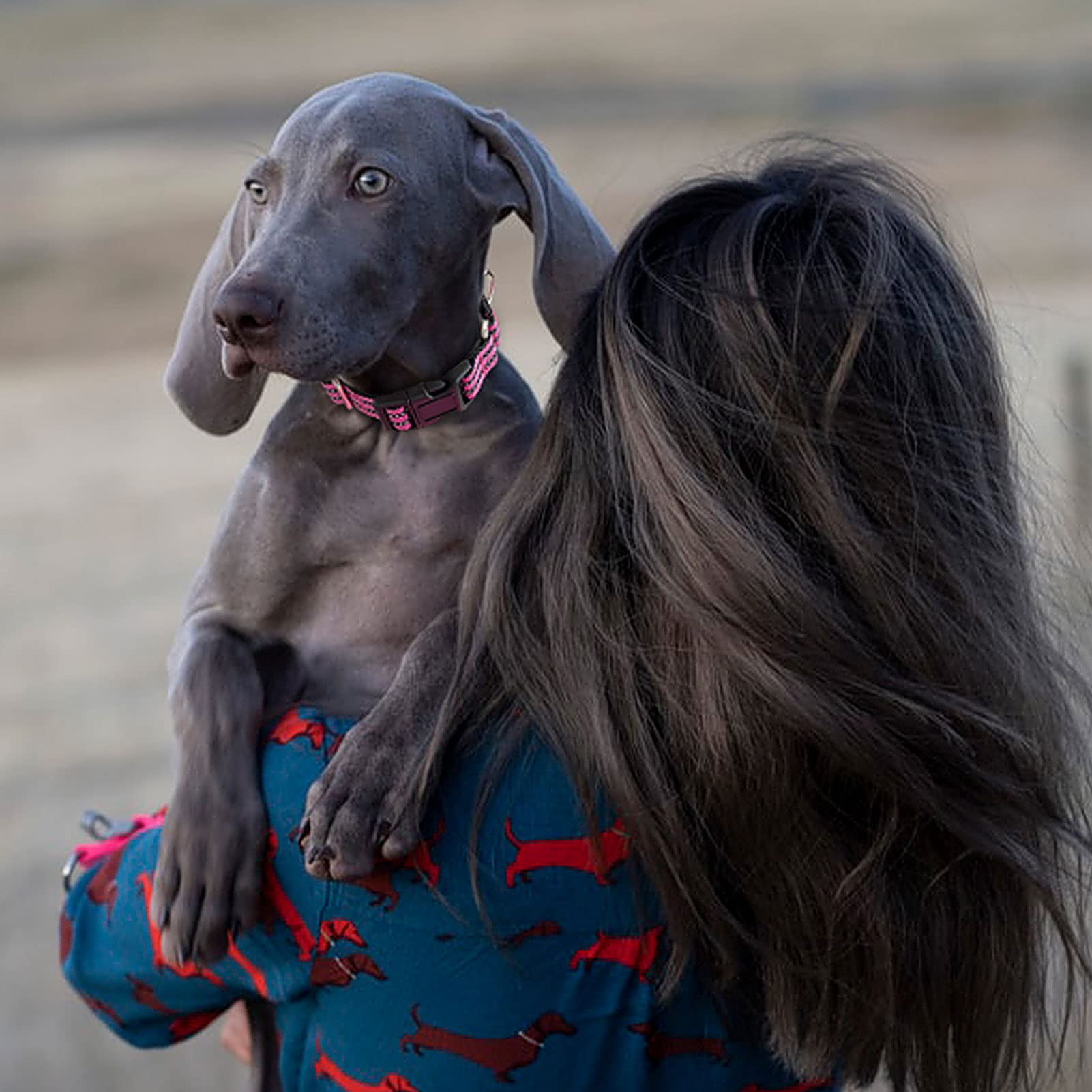 Hikiko Martingale Dog Collars Reflective Nylon Puppy Dog Collar With Quick Release Buckle Adjustable Training No Slip Dog Collar