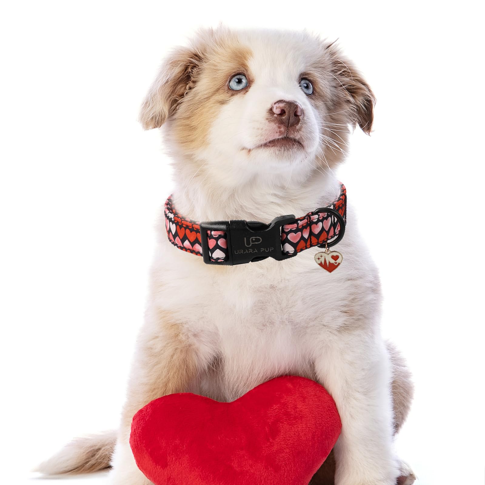 Up Urara Pup Valentines Dog Collar, Pink Heart Dog Collar With Quick Release, Sweet Valentines Gift Soft Cotton Collar Pet Girl