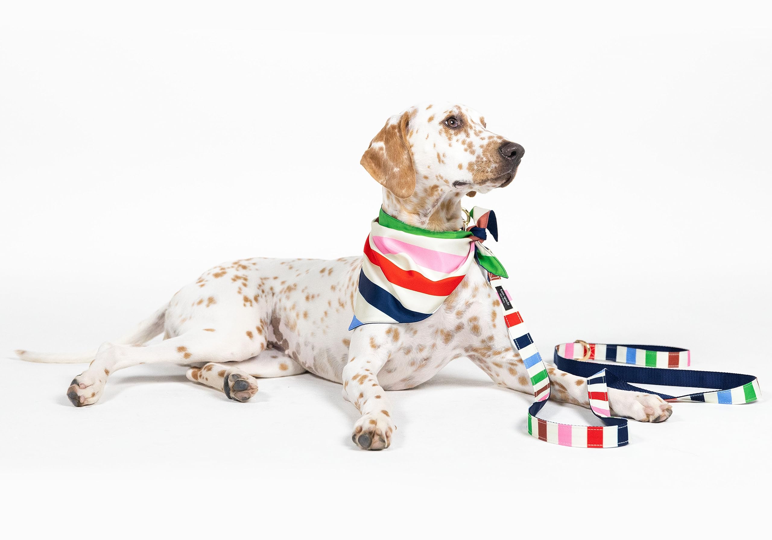 Kate Spade New York Pet Bandana For Boy Or Girl Dogs, Lightweight Bandana For Dog, Cute Dog Scarf For Medium Or Large Pets, Adve