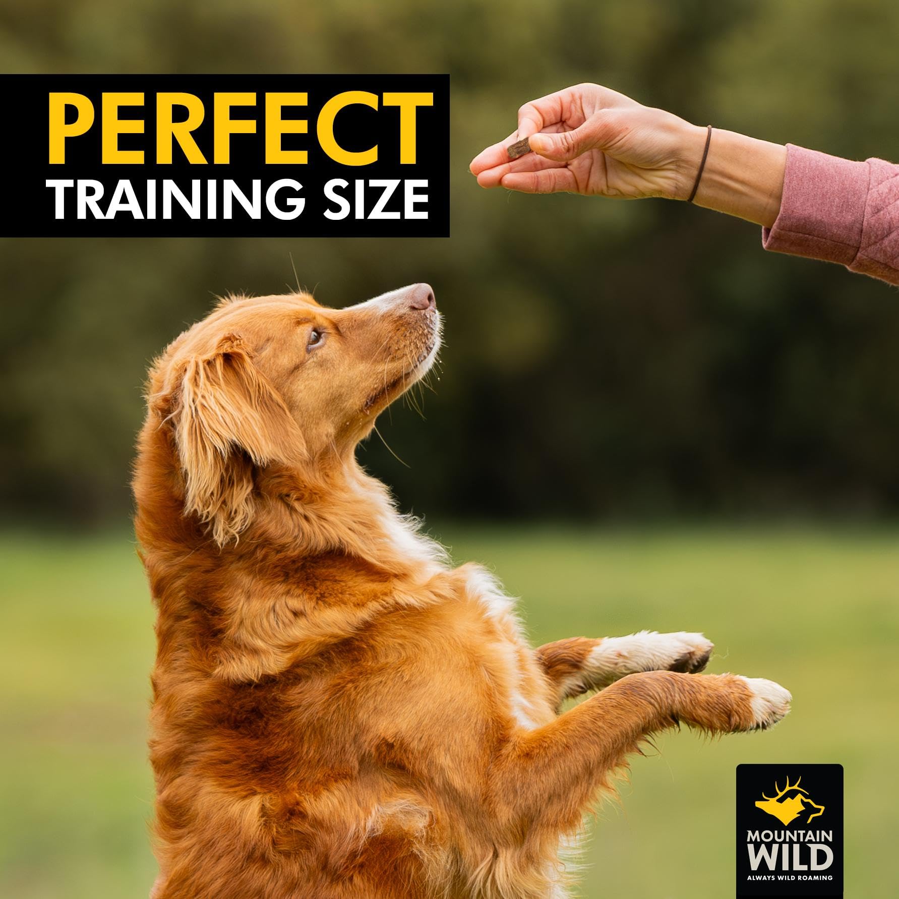 MOUNTAIN WILD Training Treat Nibs for Dogs, Elk & Deer Protein, Rewards for Effective Dog Training, All Natural, No Fillers, No