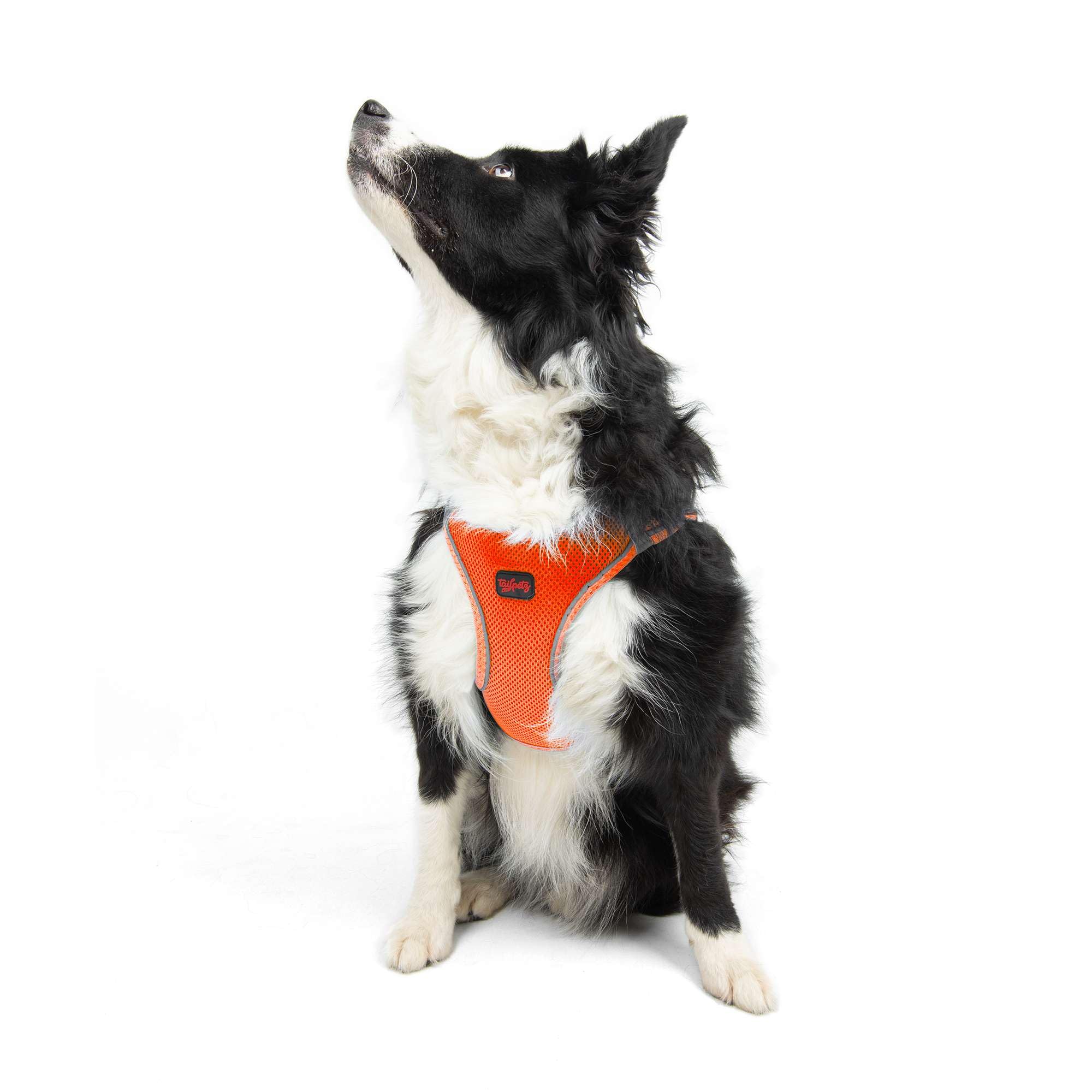 Tailpetz Orange Dog Harness, Adjustable Step in No Pull Dog Harness for Large Dog, Reflective Puppy Harness for Puppy Training, 