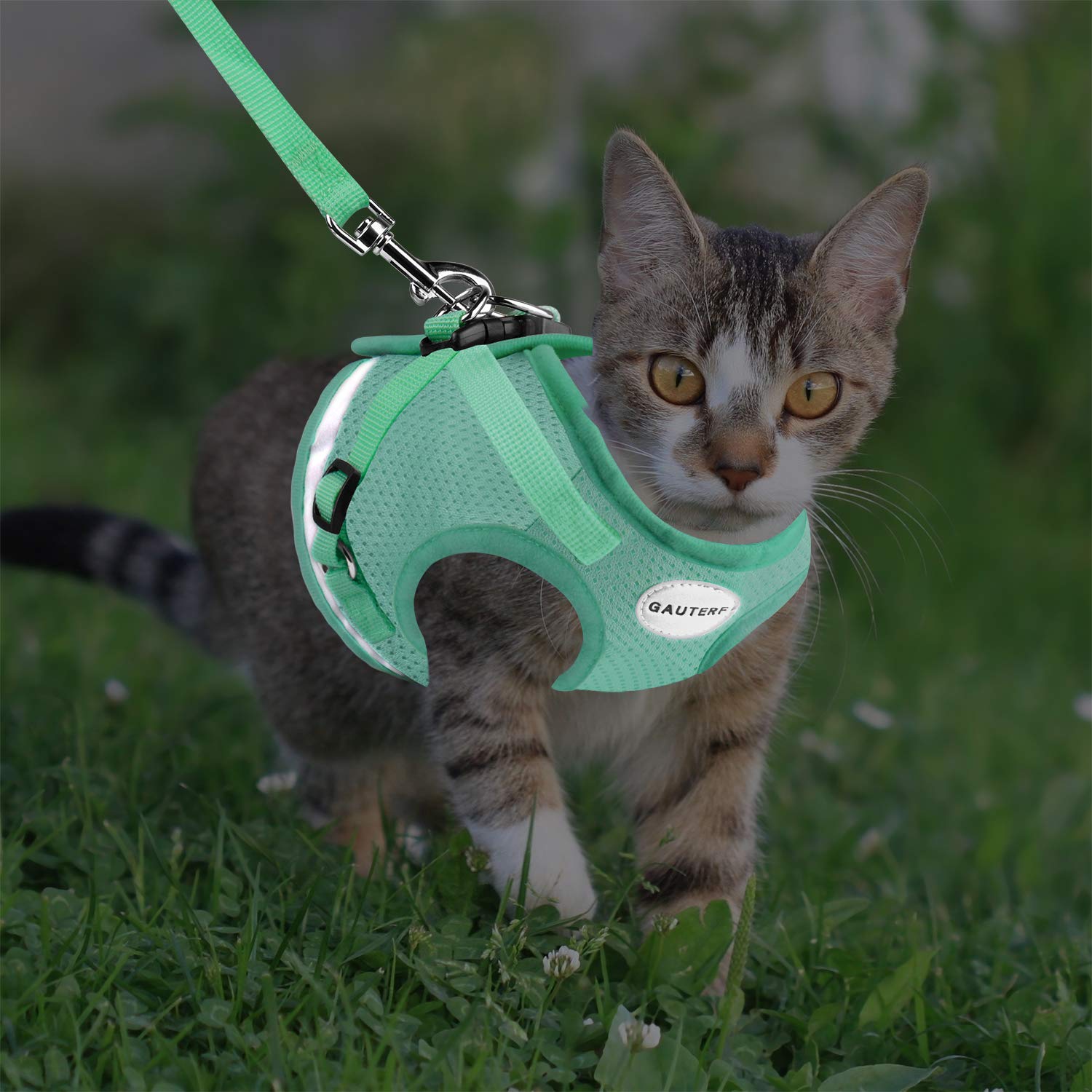 GAUTERF Adjustable Reflective Cat and Puppy Harness with Leash Set, Escape Proof Soft Mesh Vest, Cyan, XS (Chest: 6 - 8)