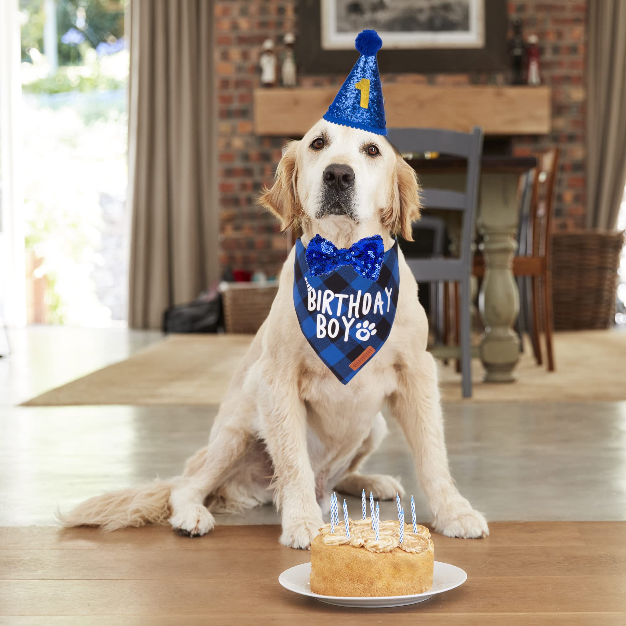 Adoggygo Dog Birthday Party Supplies, Multi Size Offered, Blue Dog Birthday Hat Bandana Numbers Bow Set For Large X-Large Dogs P