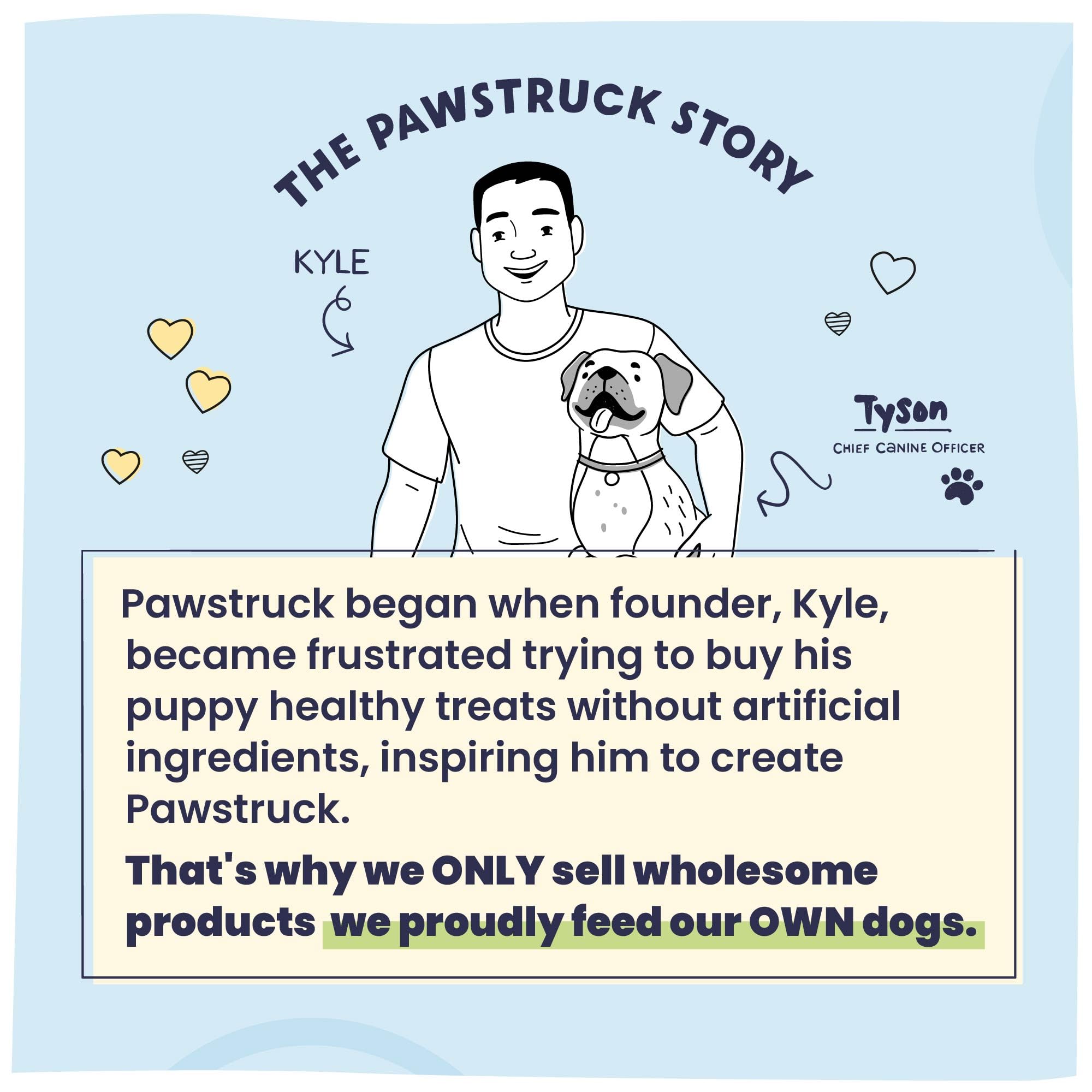 Pawstruck Large Himalayan Yak Cheese Chews for Dogs - Premium Long Lasting Natural Treat for Aggressive Chewers - High Protein,