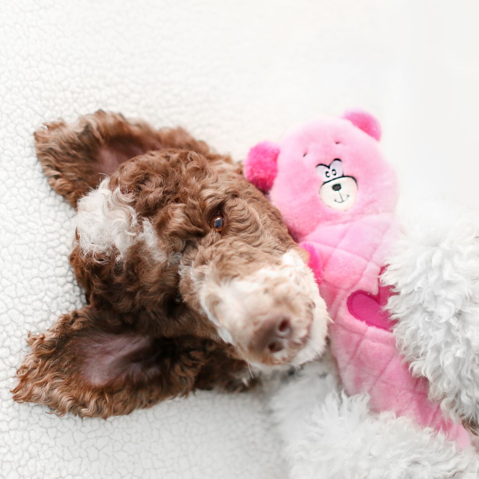 Zippypaws Jigglerz Plush Dog Toy With Squeaker, Stuffed Toy For Tough Play, Pink Bear