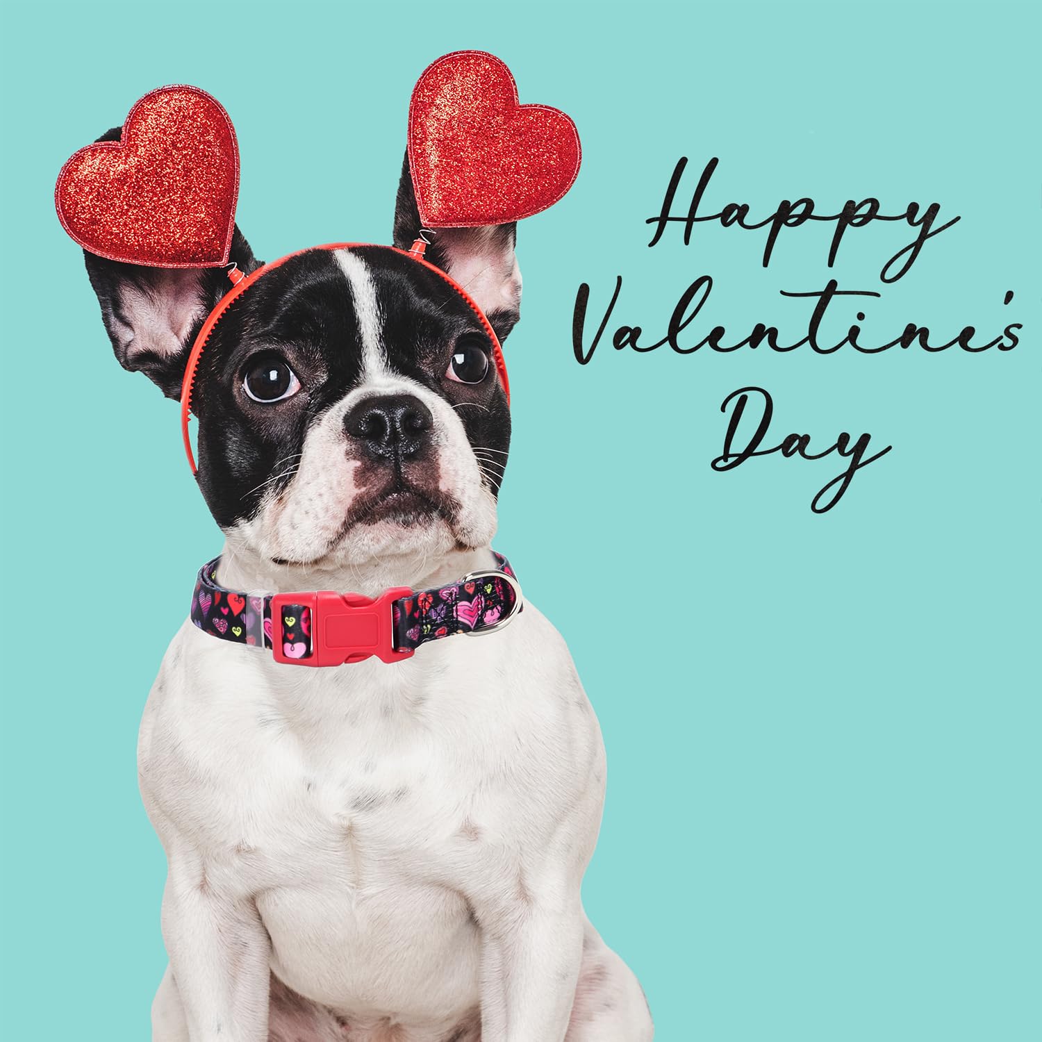 Dog Collar For Small Dogs With Cute Heart Patterns For Girl & Boy Dogs, Adjustable Soft Pet Collar With Safety Buckle For Small