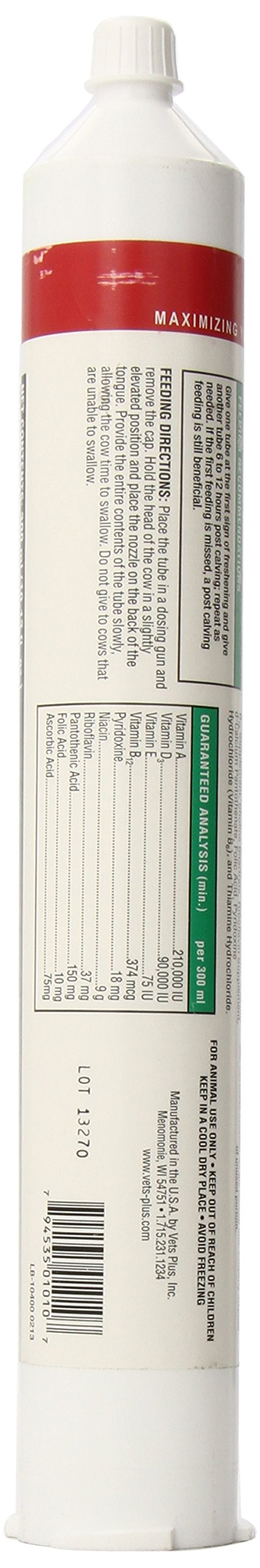 Vets Plus Keto-Nia Fresh Gel Horse Supplement, 300cc