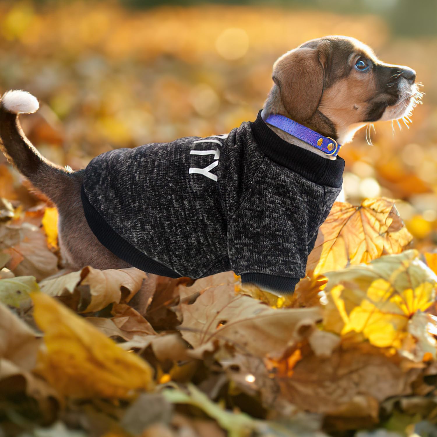 2 Pieces Xs Dog Sweater, Black Security Puppy Sweatshirt Fleece Dog Sweater Warm Fall Winter Doggie Clothes For Small Dogs Boy M