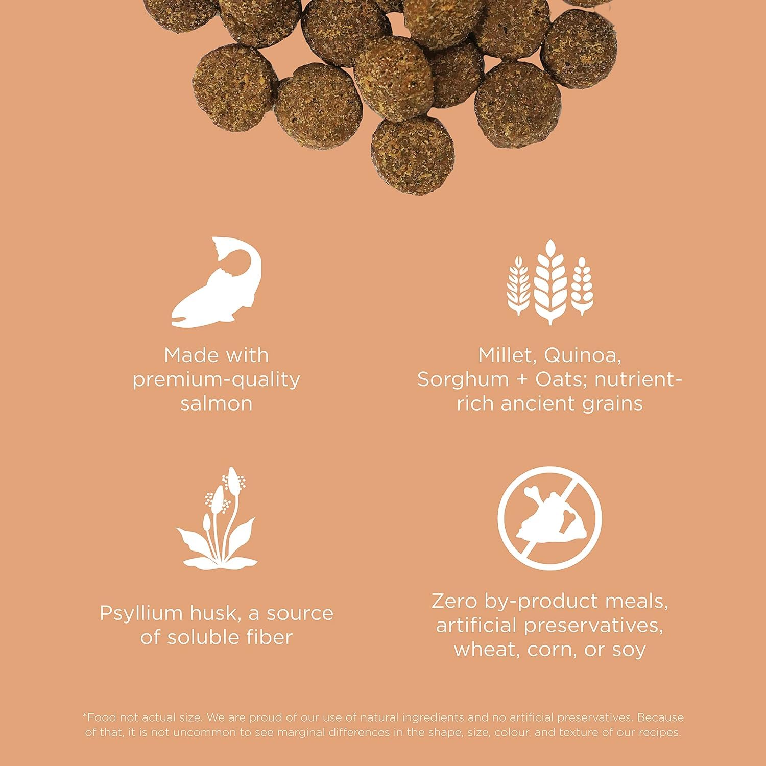 Go! Solutions Digestion + Gut Health Salmon Dry Dog Food, Premium Chicken-Free Kibble for Gastrointestinal & Digestive Wellness,