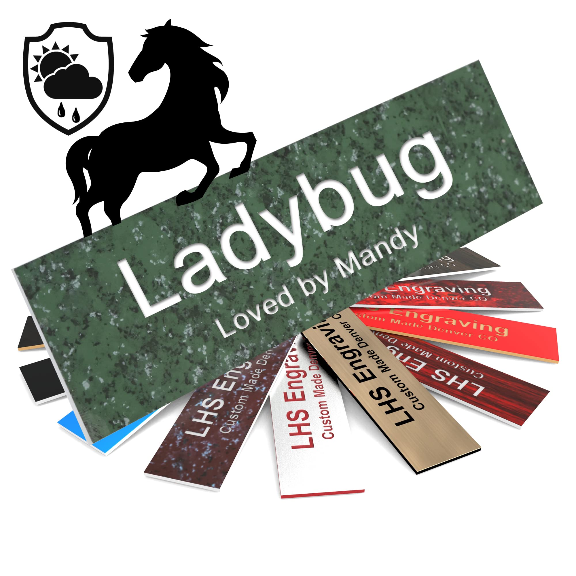 Lhs | Horse Stall Name Plate, 2X10 Personalized Stall Signs, Uv Protected, All Weather Adhesive, Hanging, Mounting Or Other, Gre
