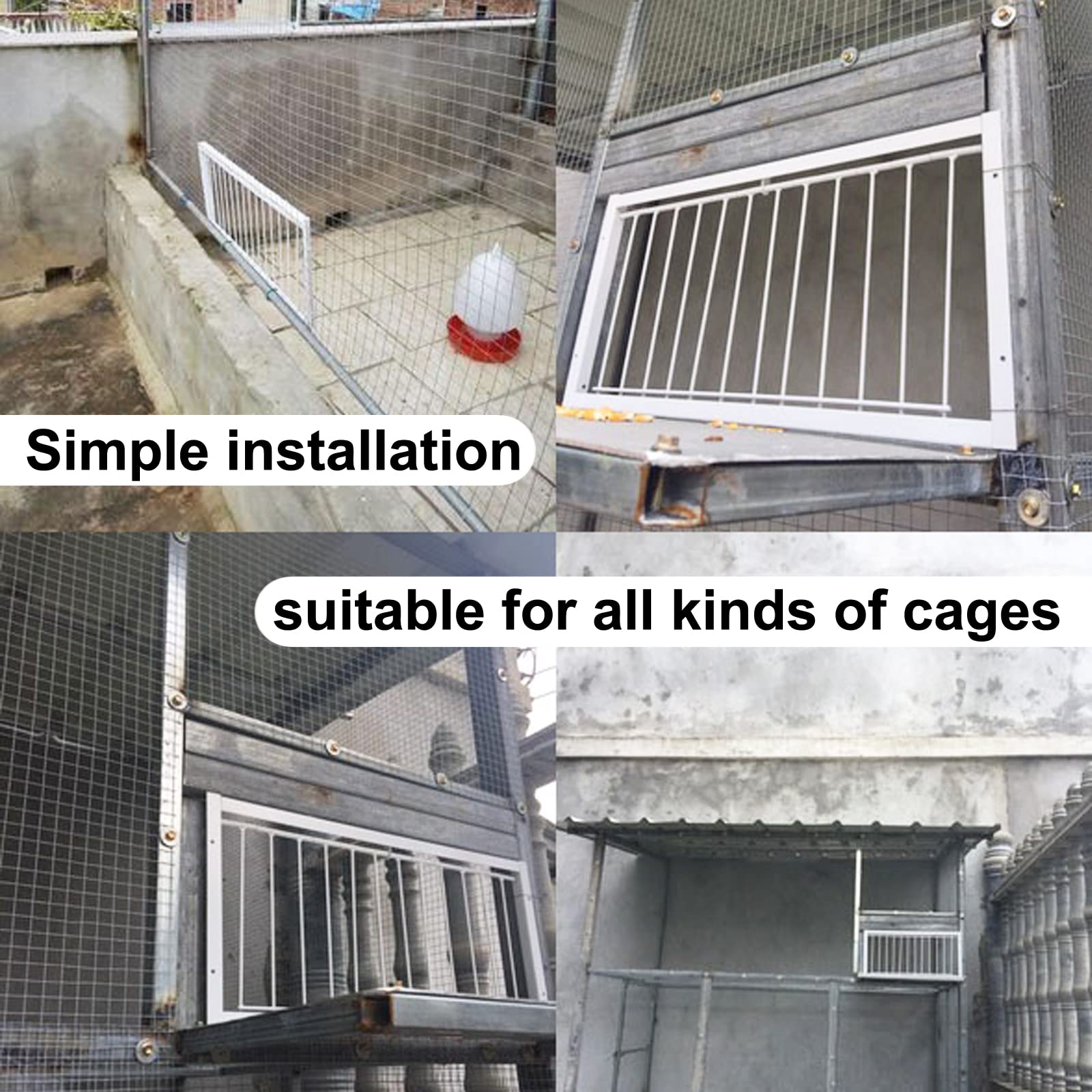 Pigeon Loft Door Pigeon Entrance Door Trap Door Pigeon House Door Racing Supplies Pet Bird Supply Product Bird Cage Door (50Cm/2