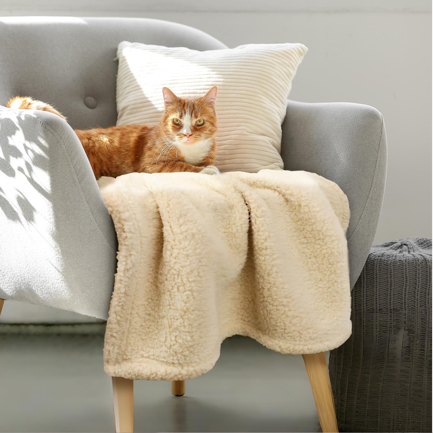 Furrybaby Premium Soft Dog Blanket For Small Dogs Puppy Cat Washable Sherpa Fleece 24X32 Inches Pet Throw For Bed Furniture Couch Sofa Protection(Small, Beige Blanket)