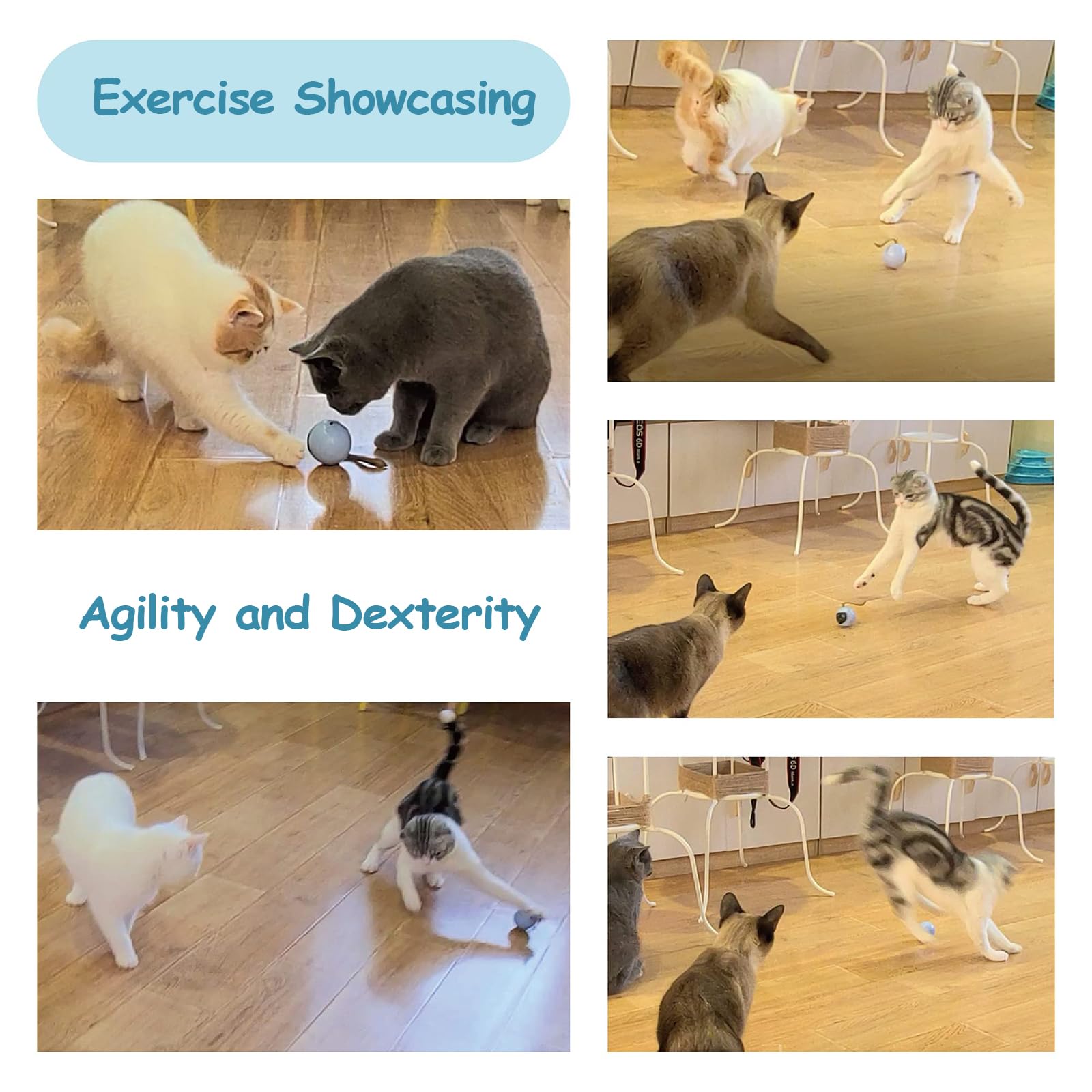 Migipaws Interactive Cat Ball Toy Set, Fun Tracker, Automatic Rolling Chase Ball With Fluffy Tail, A Small Mice, Rechargeable(White)