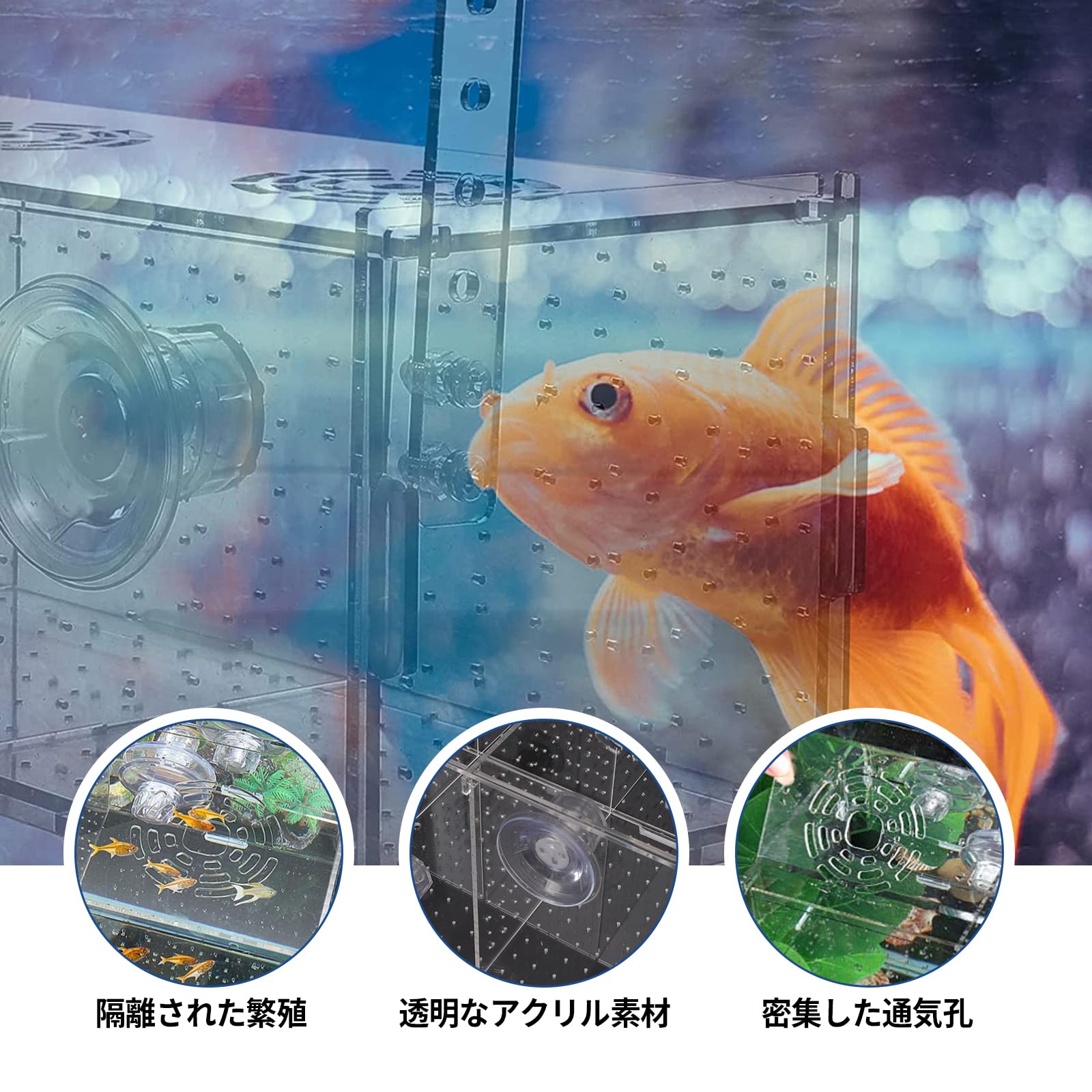 ATPWONZ Fish Breeding Box, Acrylic Fish Isolation Box Aquarium Hatchery Incubator with Suction Cups for Newborn Fry Shrimp Guppy