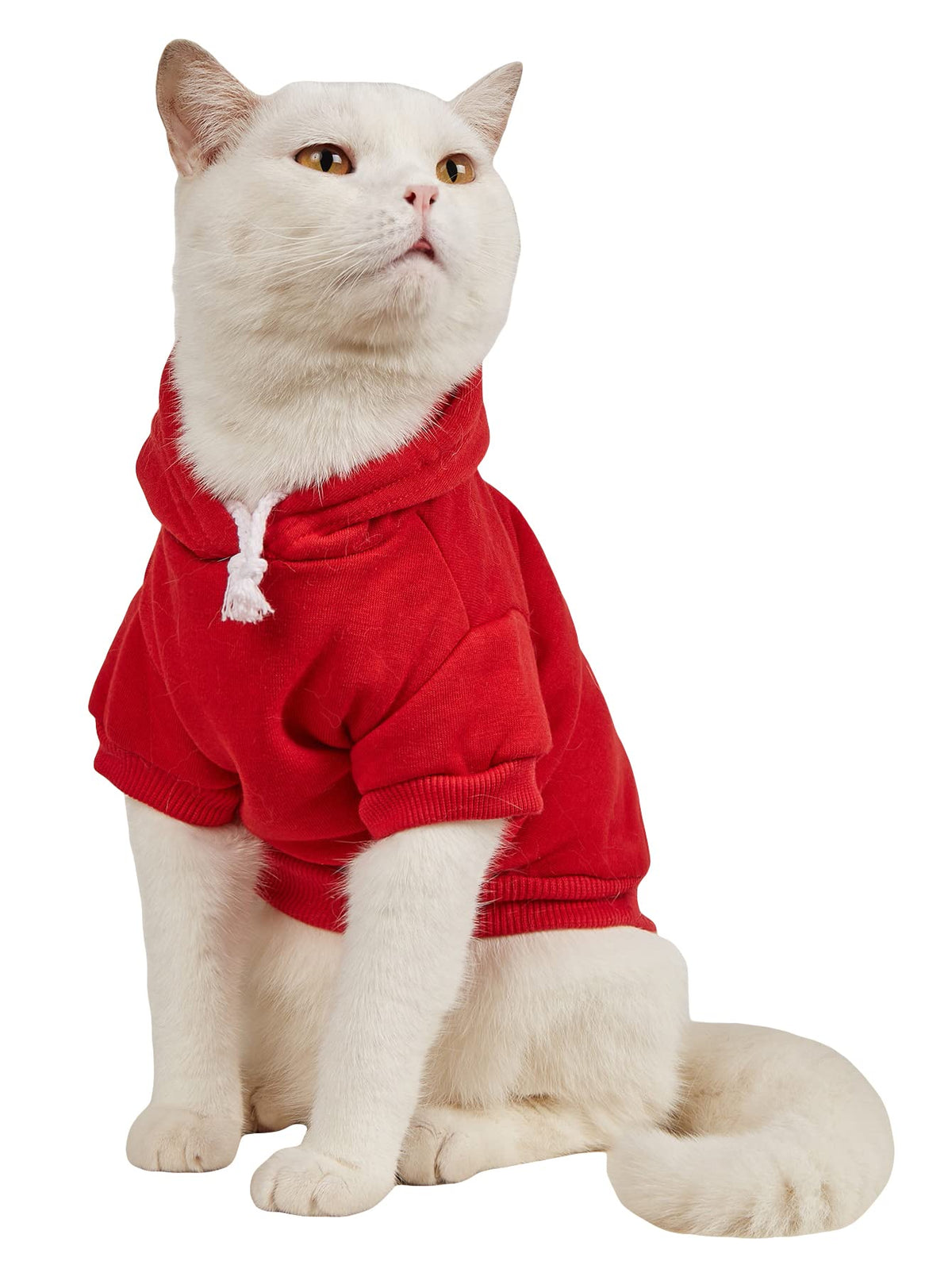 Qwinee Basic Dog Hoodie, Dog Warm Jacket, Cat Apparel, Dog Shirt, Dog Clothes For Puppy Kitten Small Medium Dogs Cats Red Xs