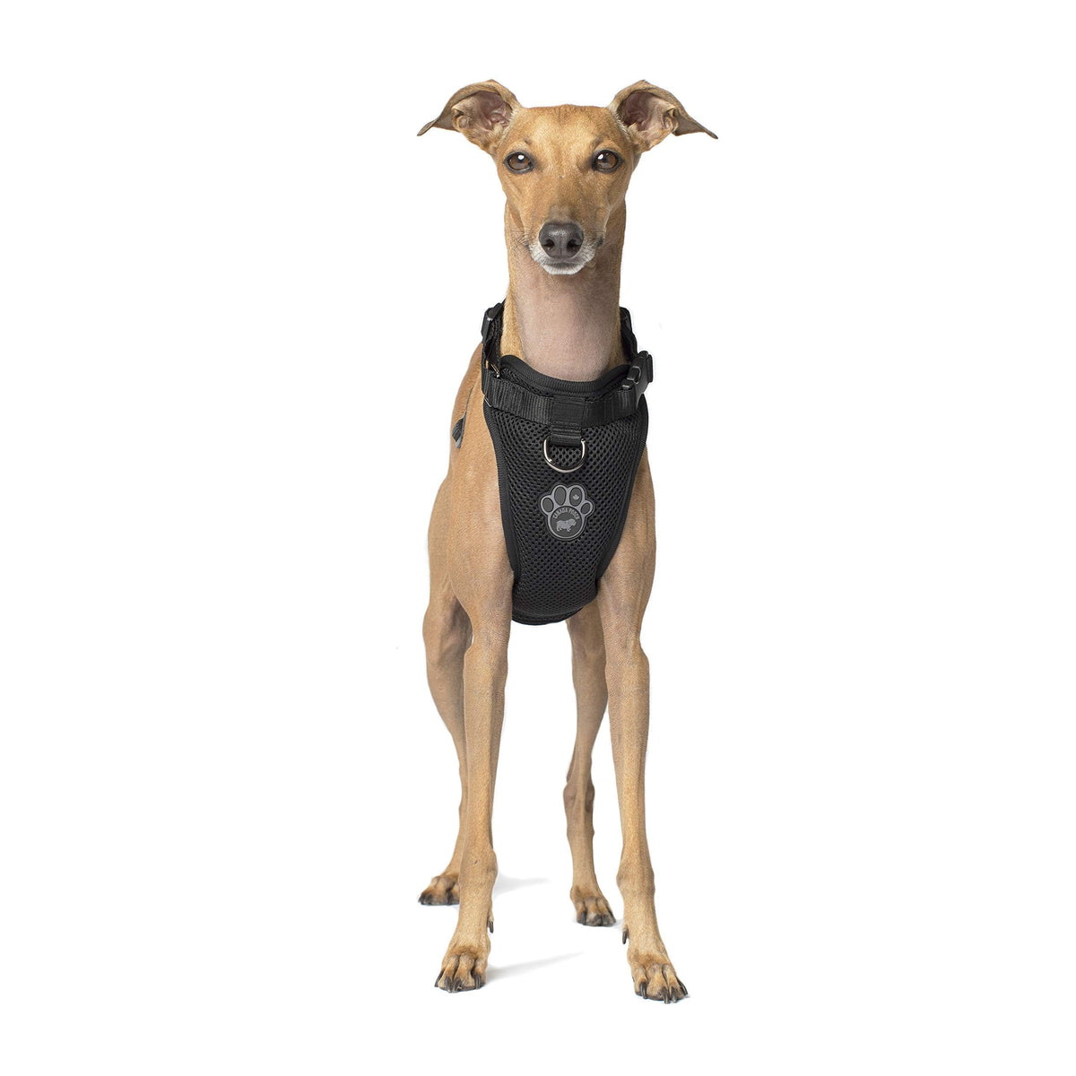 Canada Pooch Everything No Pull Dog Harness - Easy Walk Harness For Dogs With Breathable Mesh Exterior, Adjustable Dog Walking H