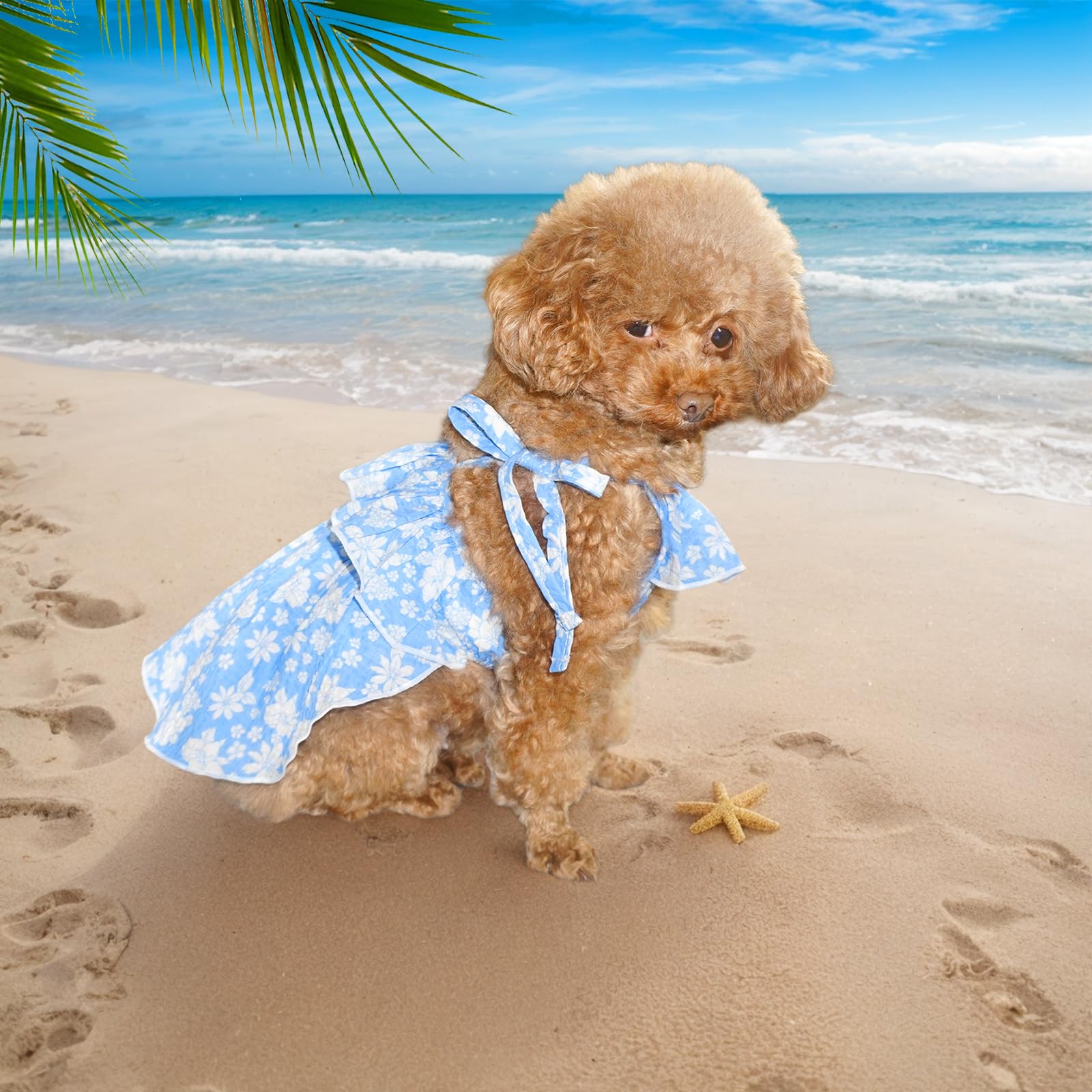 Topkins Dog Dress, Dog Evening Dress With Lace-Up, Cute Dog Sundress With Pretty Prints For Small Dog (Blue, L)