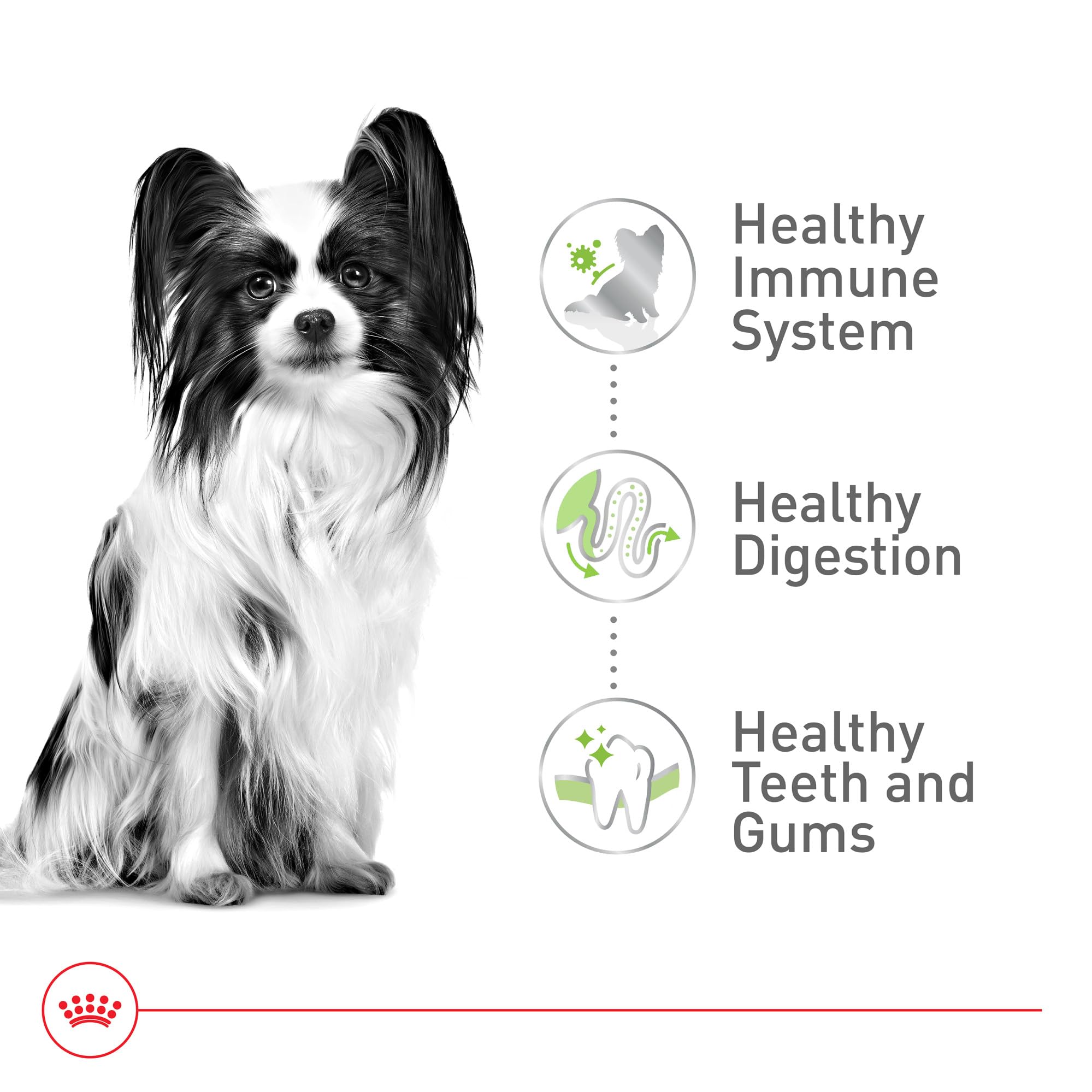 Royal Canin X-Small Adult Dry Dog Food, 14 lb Bag - Size Health Nutrition, Model 512214