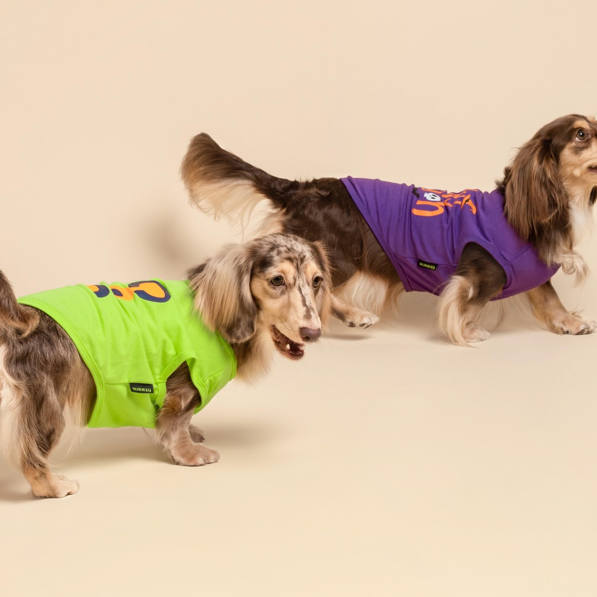 Fitwarm Halloween Spooky Season Dog Shirt, Funny Dog Clothes For Small Dogs Boy Girl, Holiday Doggy Tank Top, Pet Outfit, Purple