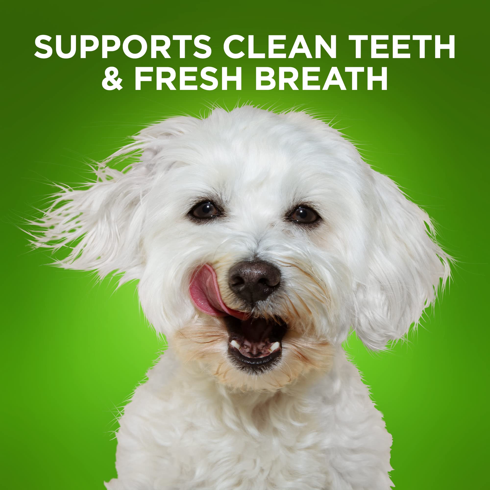 Fruitables Bioactive Fresh Mouth Dental Chews - Mini Size Dog Treats - Dental Treats for Dogs - Dog Dental Chews - 7.3 Ounces