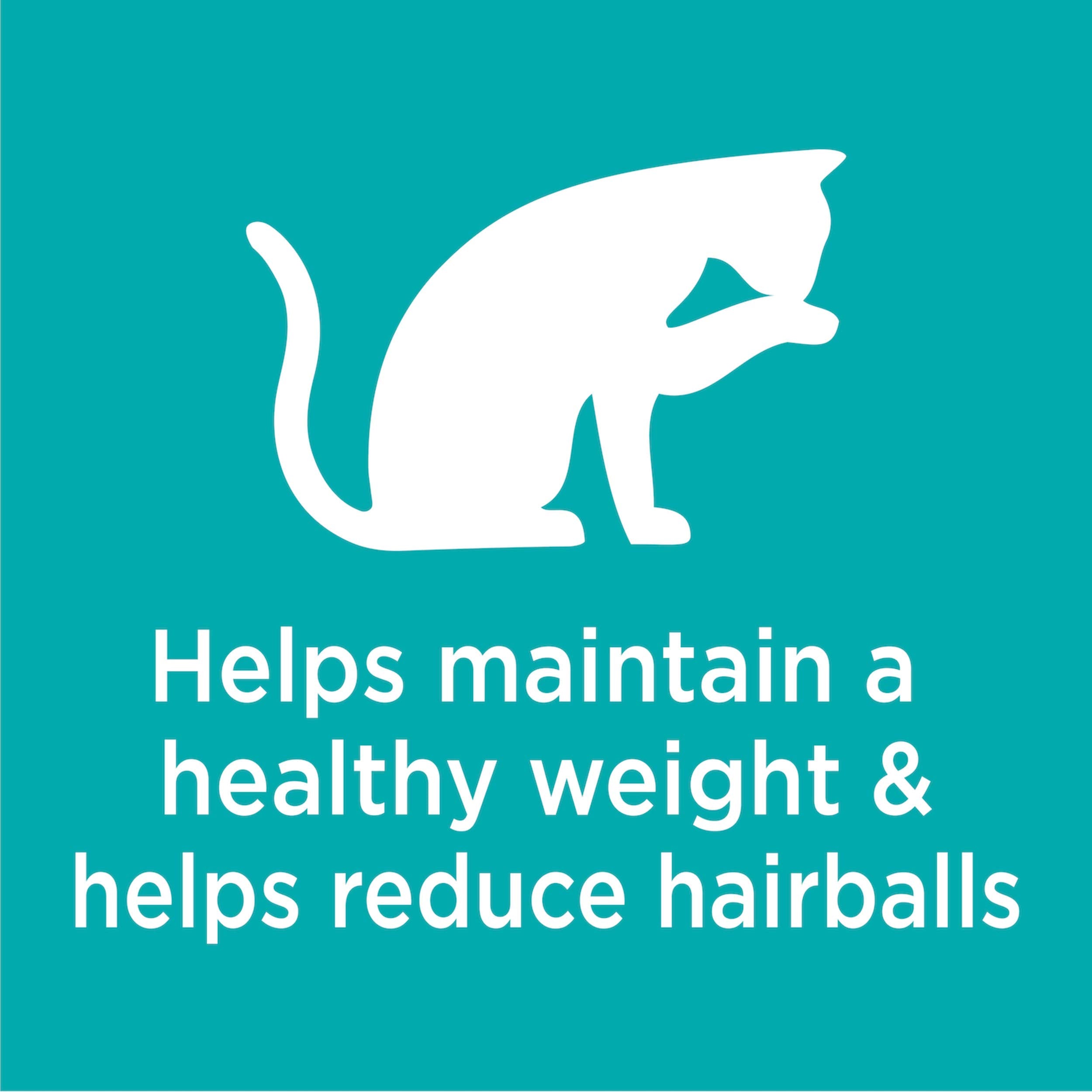 IAMS Proactive Health Indoor Weight Control & Hairball Care Adult Dry Cat Food, Salmon Recipe, 3.5 lb. Bag