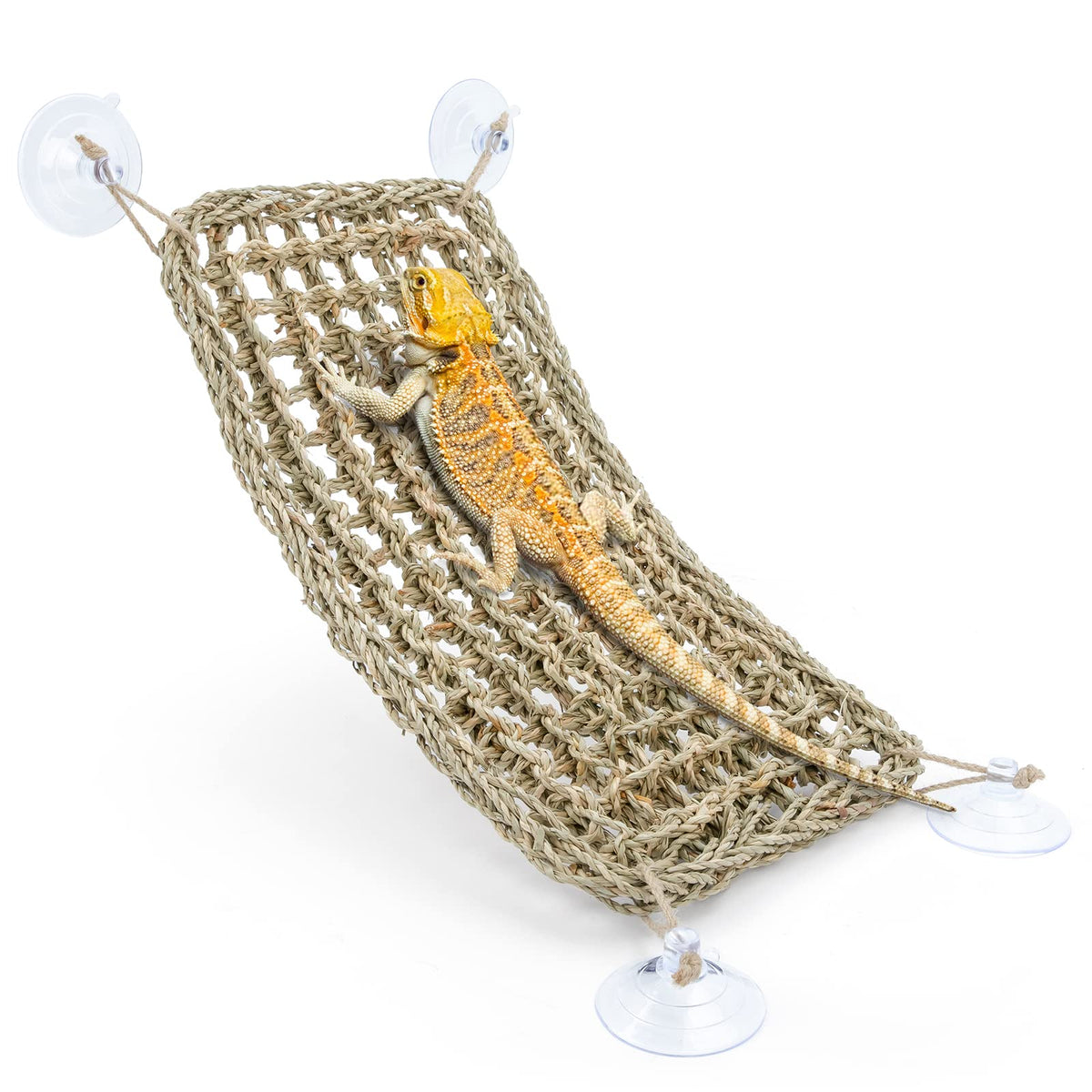 Niteangel Bearded Dragon Hammock Reptile Lounger For Chameleon, Lizards, Gecko, Snakes, Lguana Reptiles, Tortoises (Rectangle 16'' X 8'')