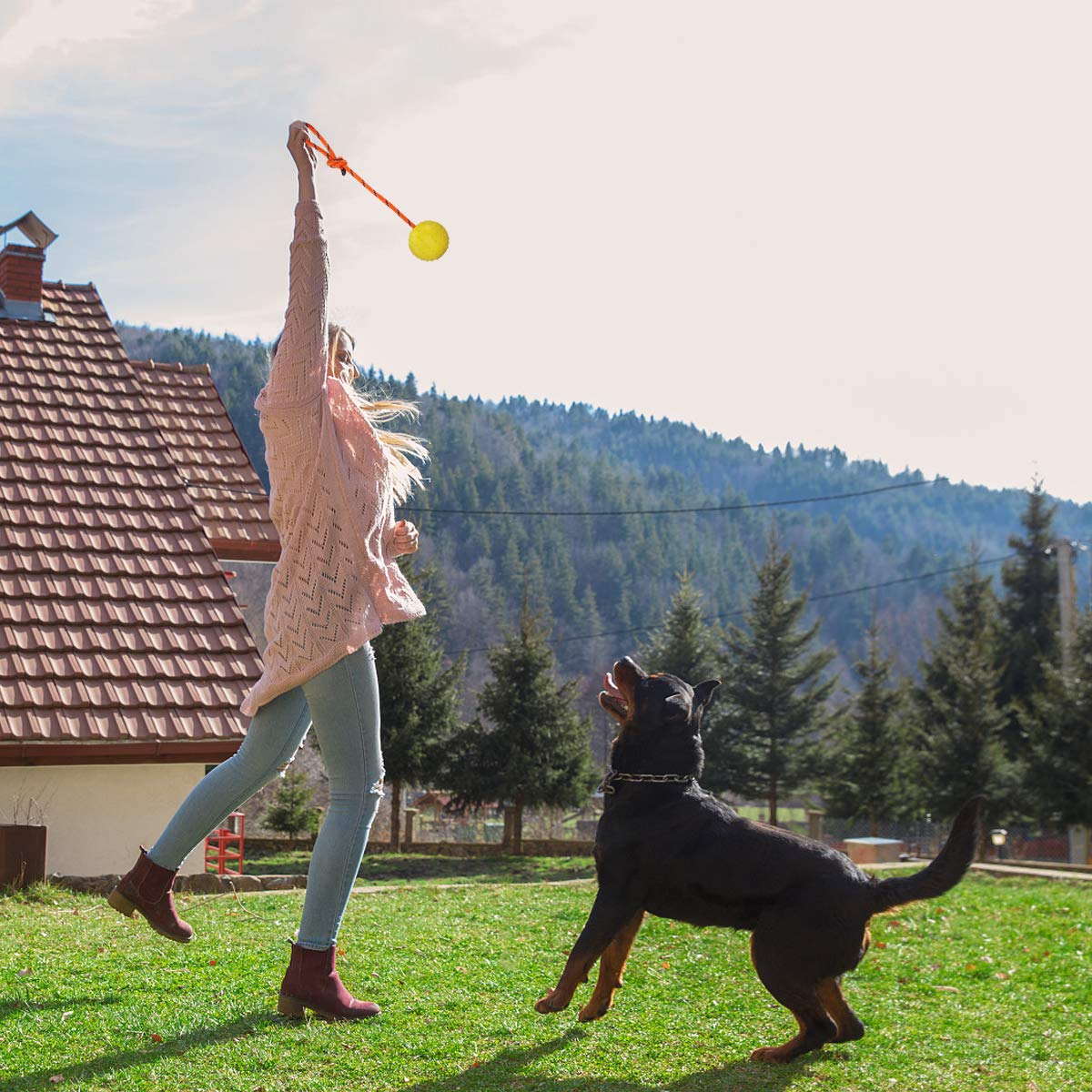 Nevperish 2 Pack Dog Ball, K9 Ball On Rope For Reward, Fetch, Play (6Cm)
