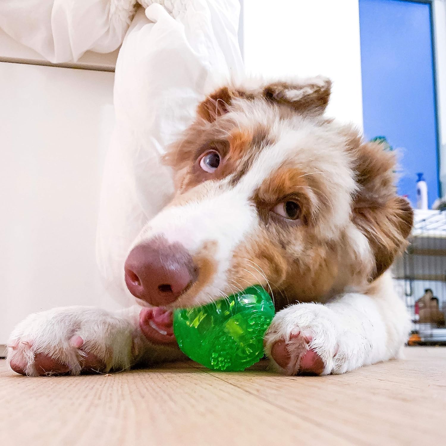 Hyper Pet Durasqueak Dog Ball Dog Toys (Interactive Dog Toys That Float & Squeak) Squeaky Dog Toys & Dog Balls For Playing, Fetching & Retrieving-Great Alternative To Traditional Dog Tennis Balls-3.5'