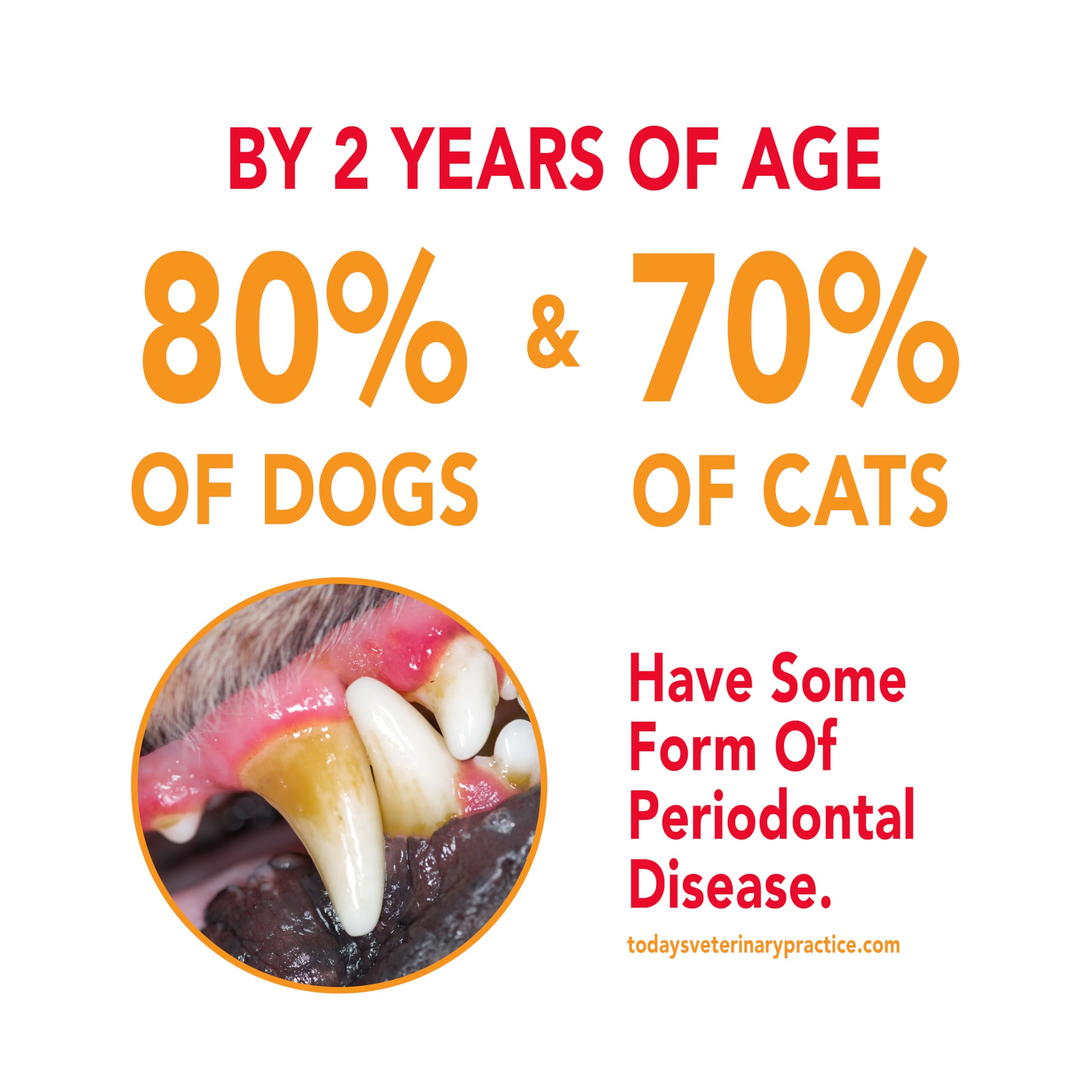 Petrodex Toothpaste for Dogs and Puppies, Cleans Teeth and Fights Bad Breath, Reduces Plaque and Tartar Formation, Enzymatic Too