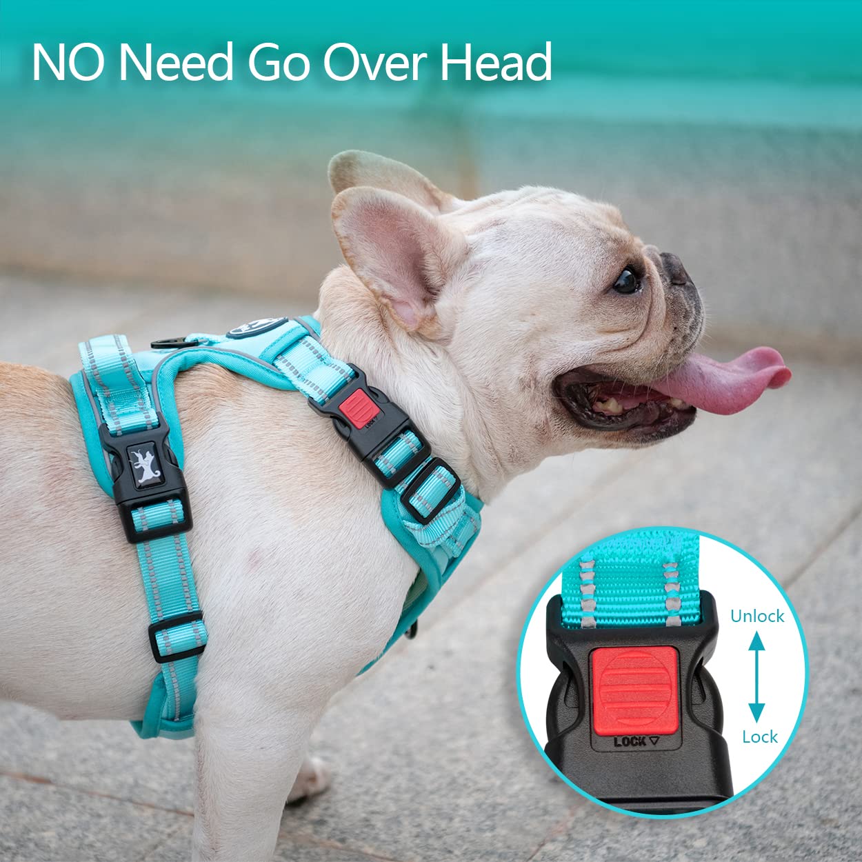 Poypet No Pull Dog Harness, No Choke Reflective Dog Vest, Adjustable Pet Harnesses With Easy Control Padded Handle For Small Medium Large Dogs(Mint Blue Matching Trim,L)