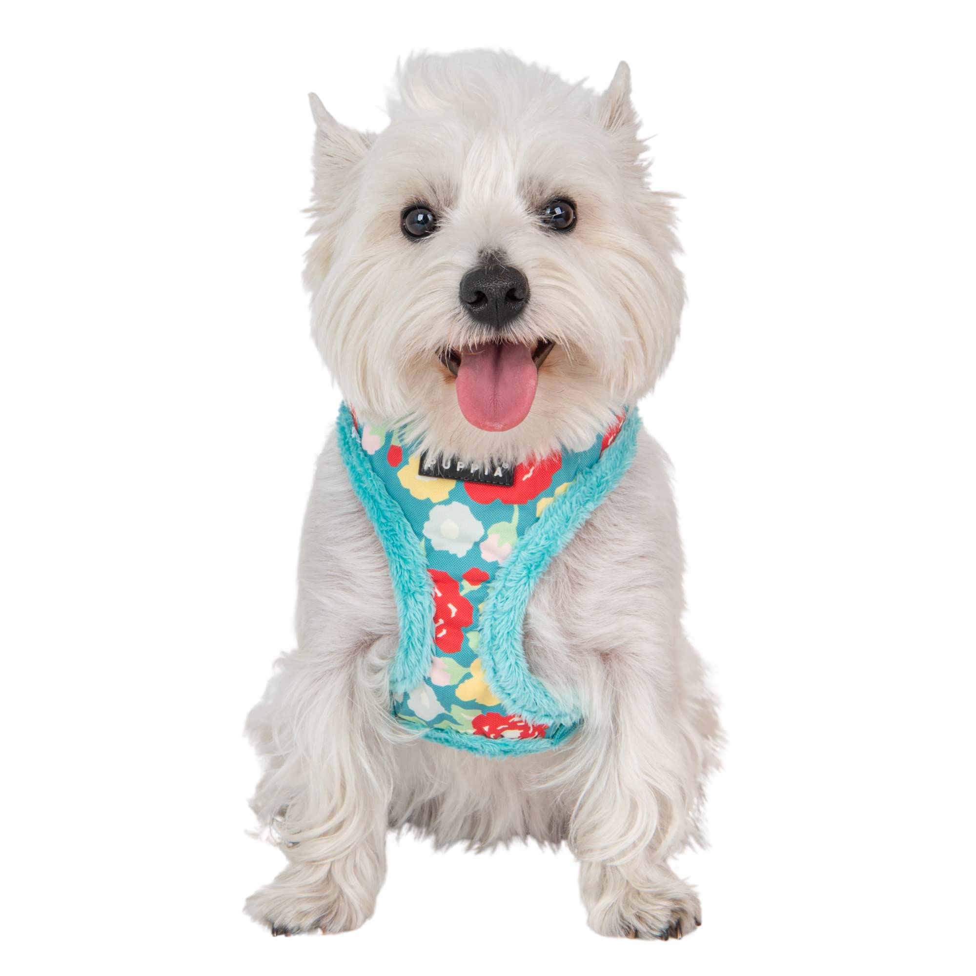 Puppia Alyssa Dog Harness Over-The-Head Warm Winter Flower Pattern Adjustable Chest For Small And Medium Dog, Aqua, X-Large