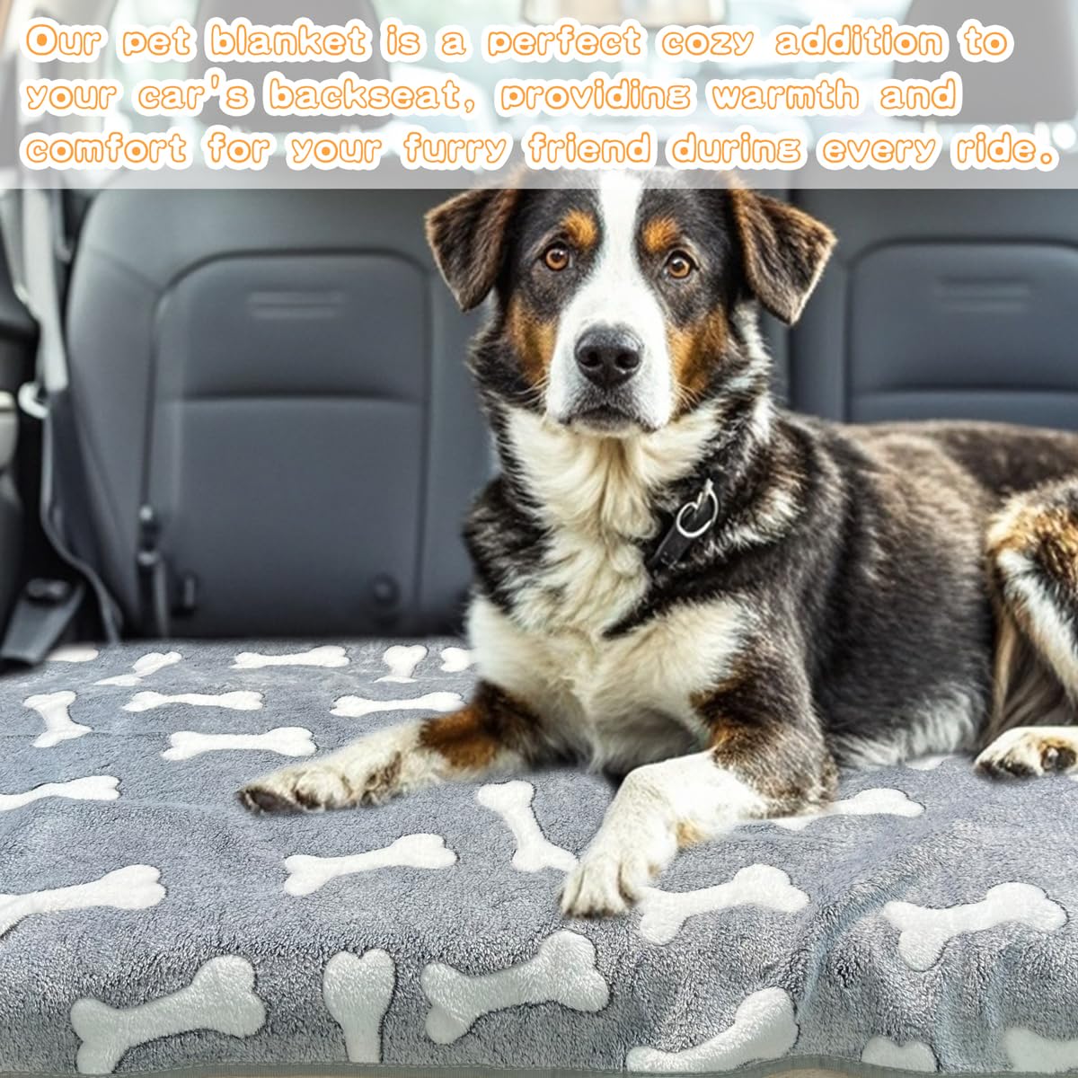 Dog Blankets For Medium Large Dogs Washable, 3 Pack Pet Blanket Washable 41' X 31', Fuzzy Soft Puppy Blanket Throw Cover For K