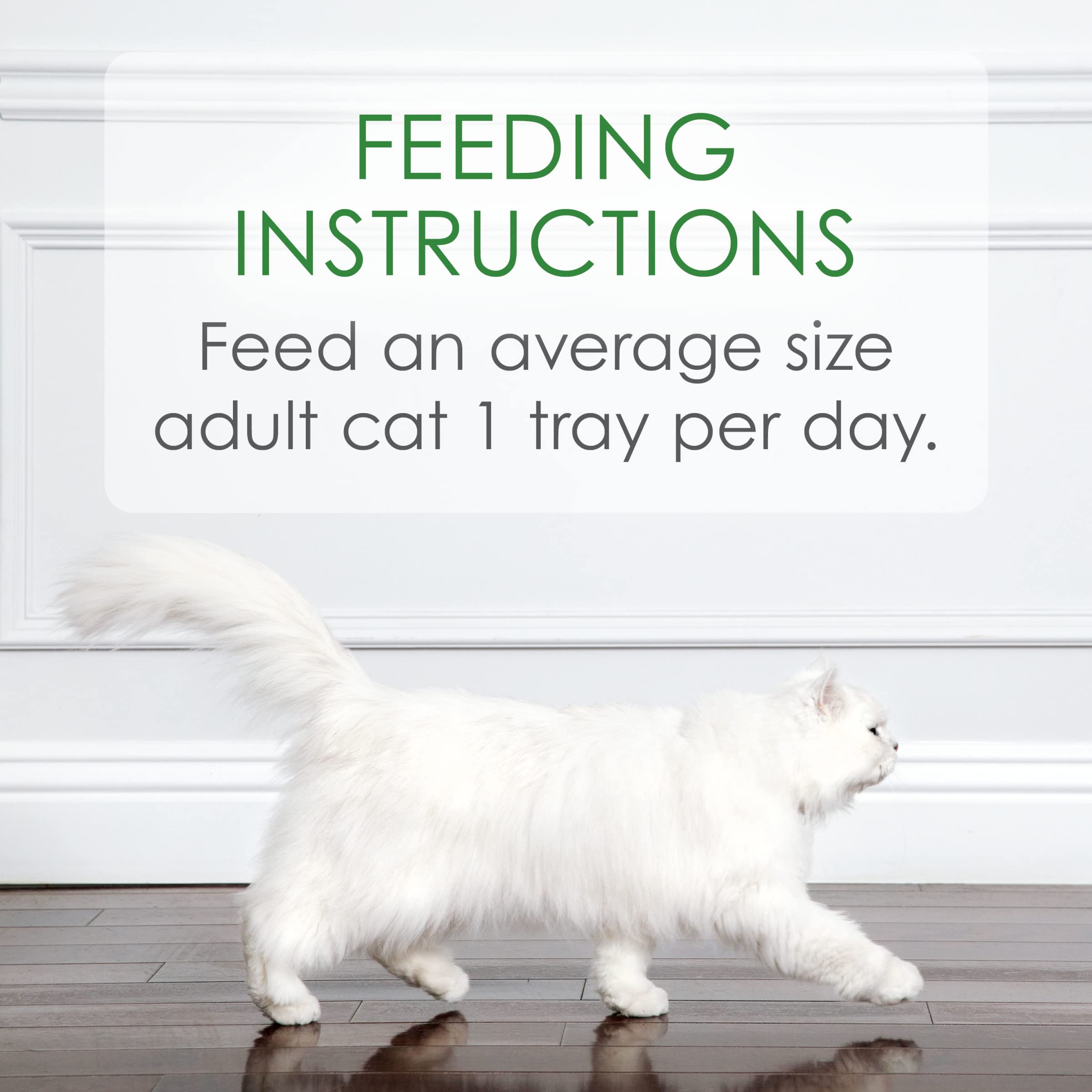 Purina Fancy Feast Appetizers Lickable Grain Free Wet Cat Food Topper White Meat Chicken and Flaked Tuna Appetizer - (Pack of 10