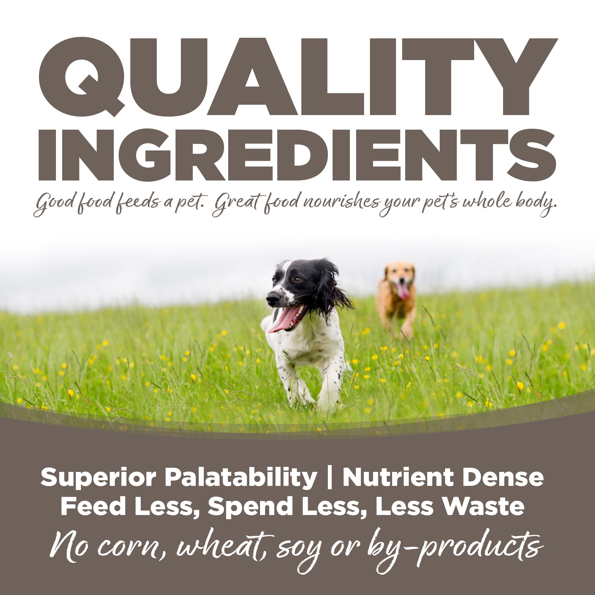 TuffyS Pet Food 26503 Nutrisource Senior Dog Food (1 Pack)