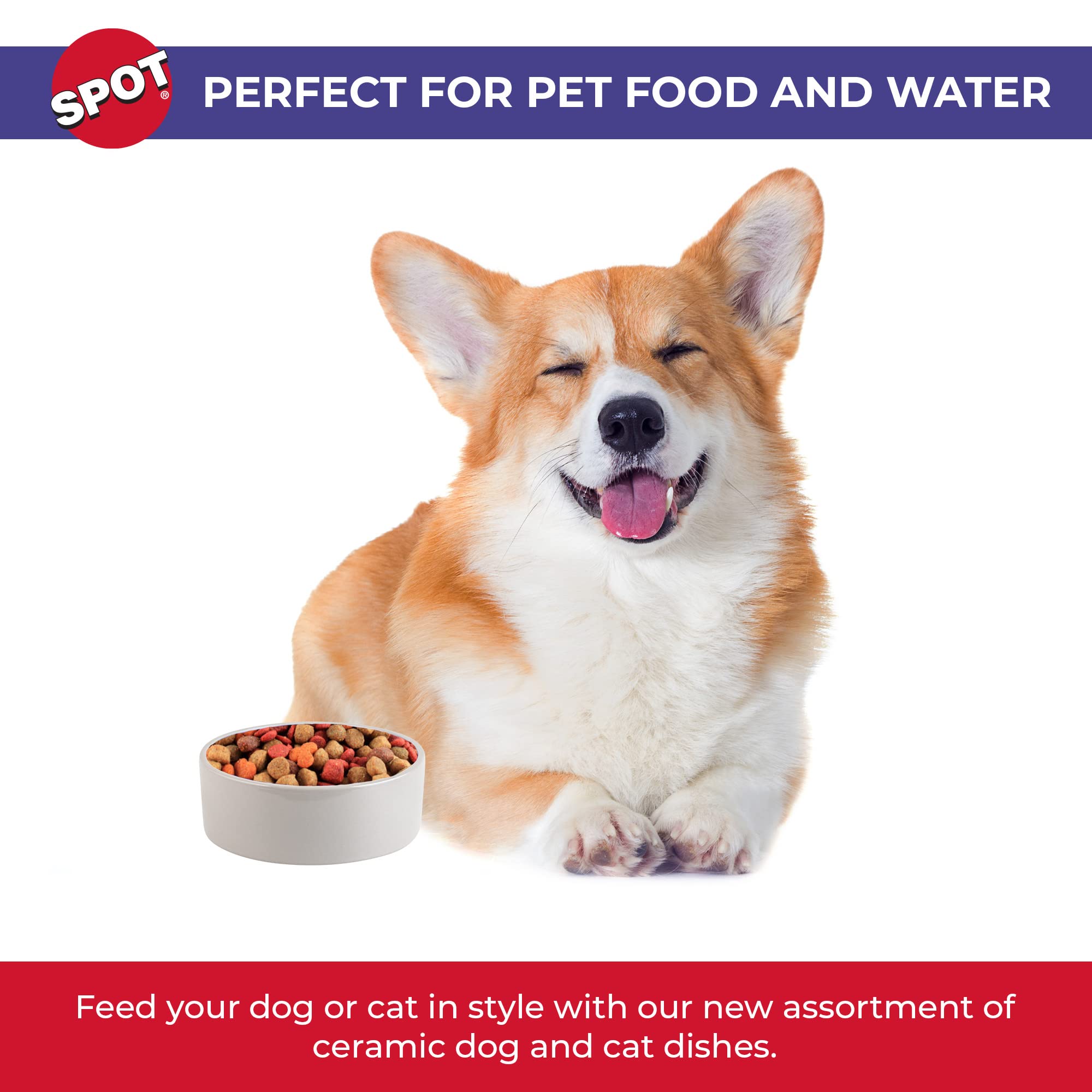 SPOT by Ethical Products - Ceramic Stoneware Pet Bowl for Cats and Small Dogs, Classic Heavy Duty Non Slip Ceramic Cat Dish Smal