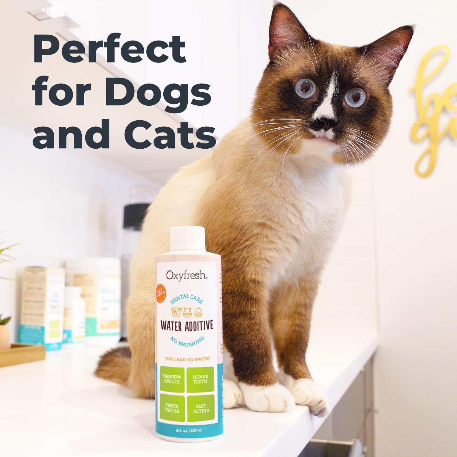 Oxyfresh Pet Dental Care Water Additive - Eliminates Bad Breath & Fights Tartar & Plaque - 16 Fl oz - Vet Recommended