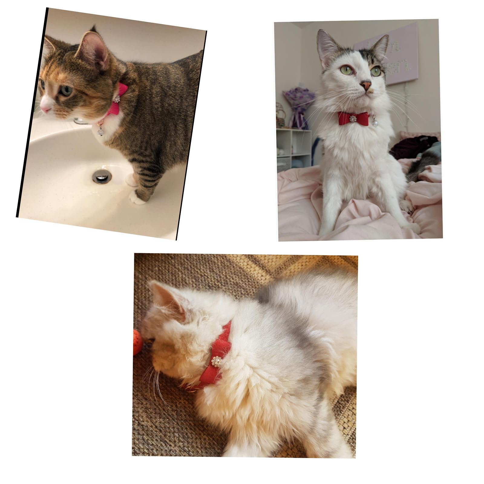 Superbuddy Cat Collars With Bells, Breakaway Kitten Collar, Cute Kitty Collar With Diamonds Bowtie Bell For Puppy Kitten In 2 Pa