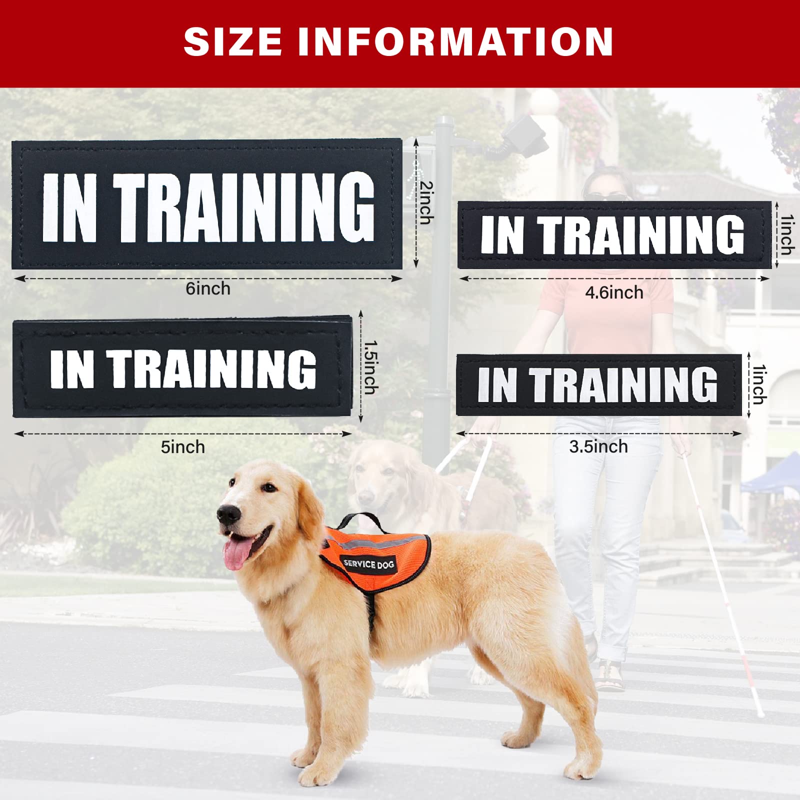 2Pack Service Dog Patches, Black Vest Patch For Dogs, Hook Backing Removable Harness Patches, In Training-S