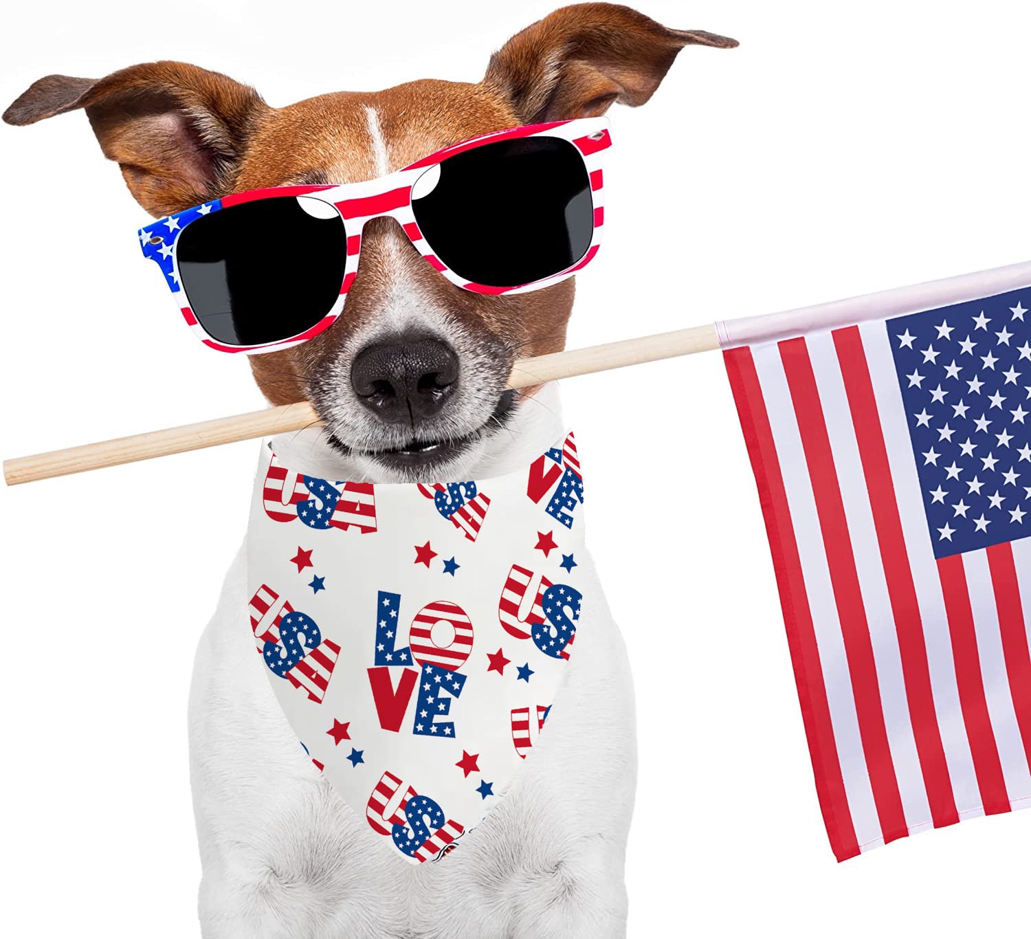 4Th Of July Dog Bandanas, 2 Pcs Memorial Day American Flag Dog Outfits Triangle Reversible Puppy Scarf Premium Durable Fabric, I