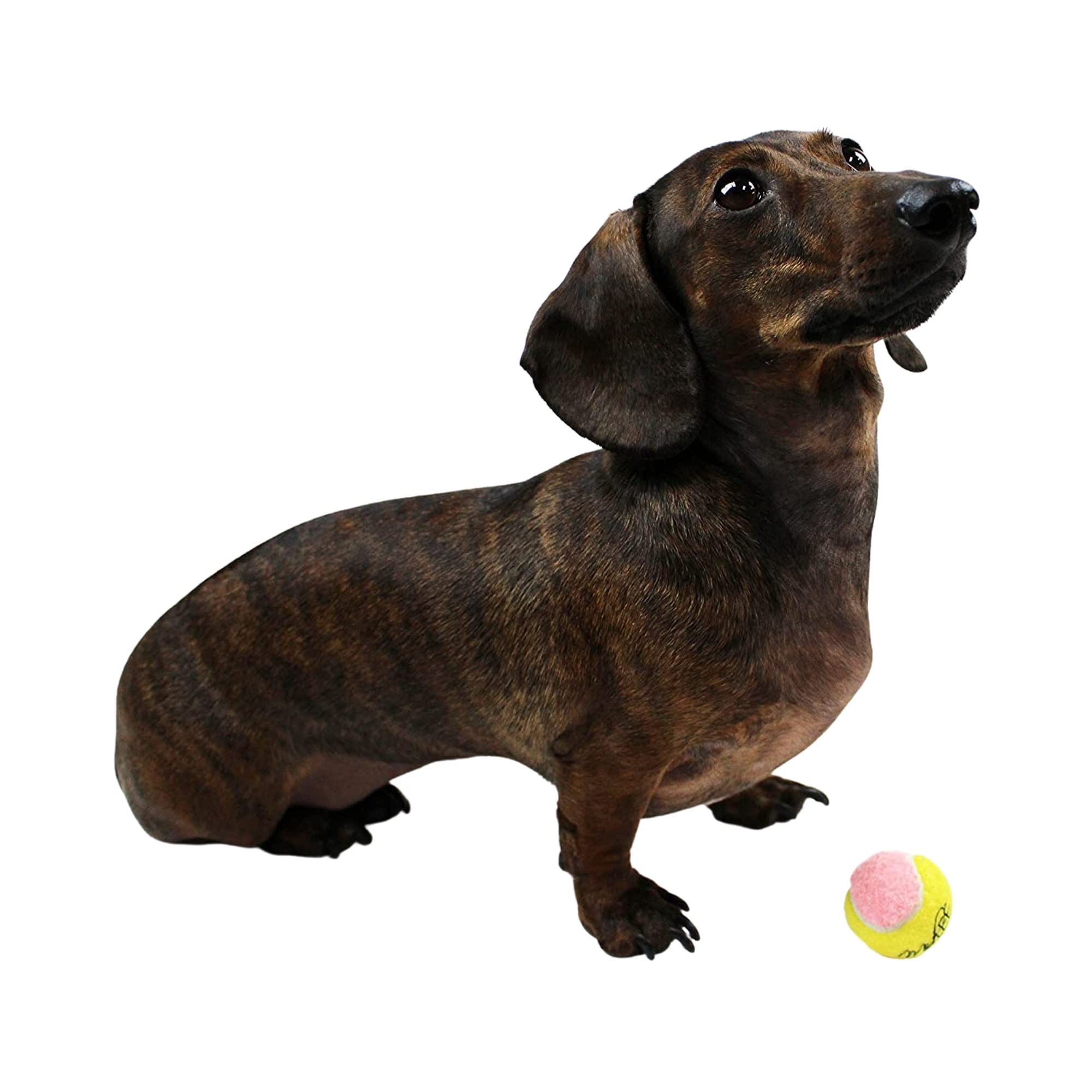 Midlee X-Small Dog Tennis Balls 1.5' Pack Of 12- Puppy Mini Fetch Pet Little Tennis Balls -Yellow/Pink