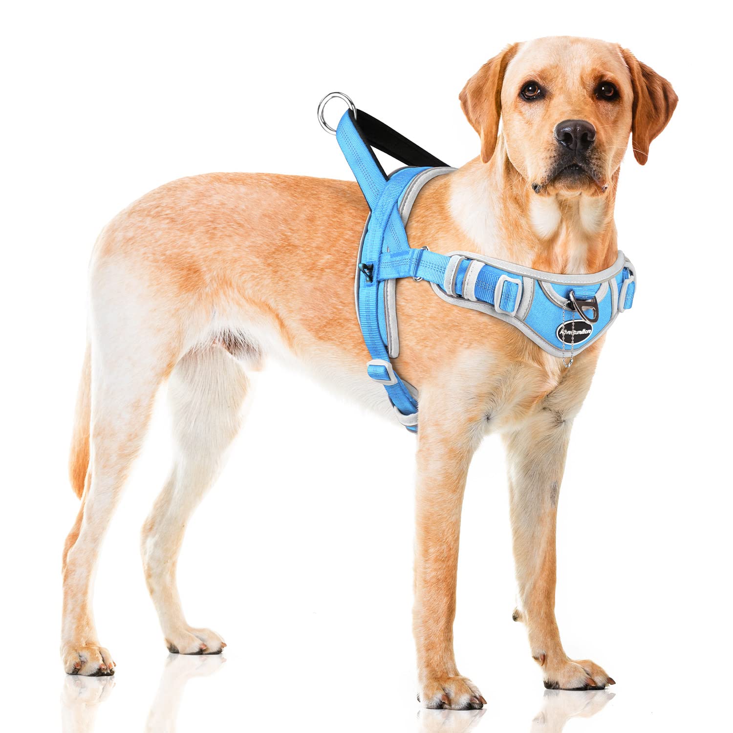 Adventuremore Dog Harness For Medium Dogs No Pull, Sport Dog Halter Harness Adjustable Reflective Dog Vest Escape Proof Dog Harness With Easy Control Front Clip Handle For Training Walking M Blue