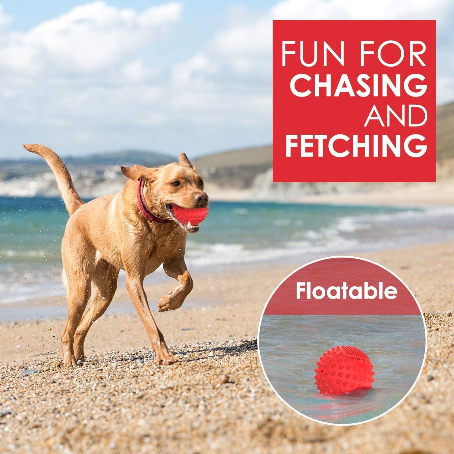 petizer Squeaky Dog Ball - Durable 3" Natural Rubber Toy for Aggressive Chewers - Red - Model DB250213